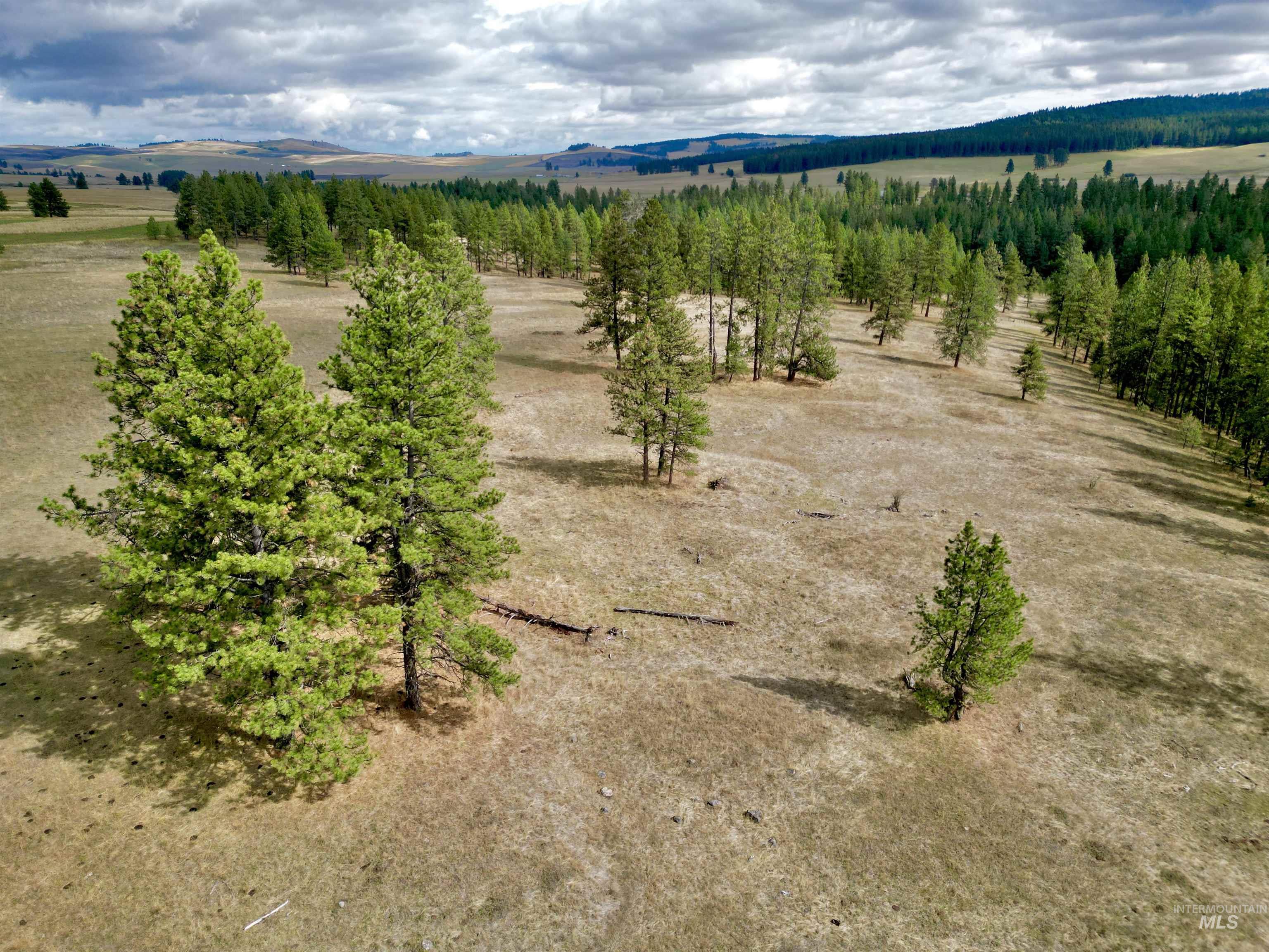 TBD Keuterville Road, CottonWood, Idaho 83526, Land For Sale, Price $149,000, 98924933