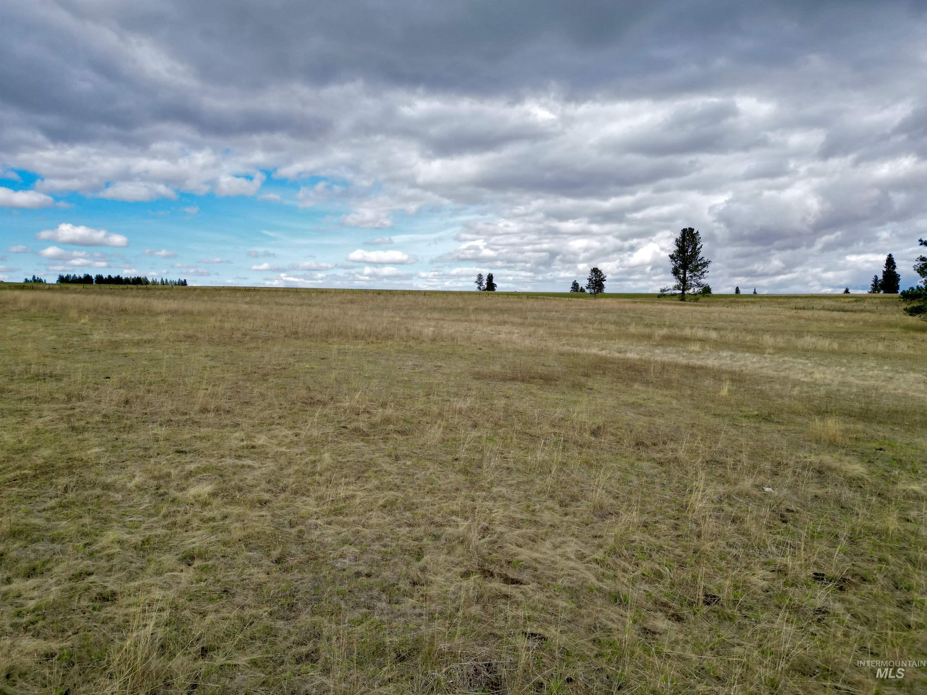 TBD Keuterville Road, CottonWood, Idaho 83526, Land For Sale, Price $149,000, 98924933
