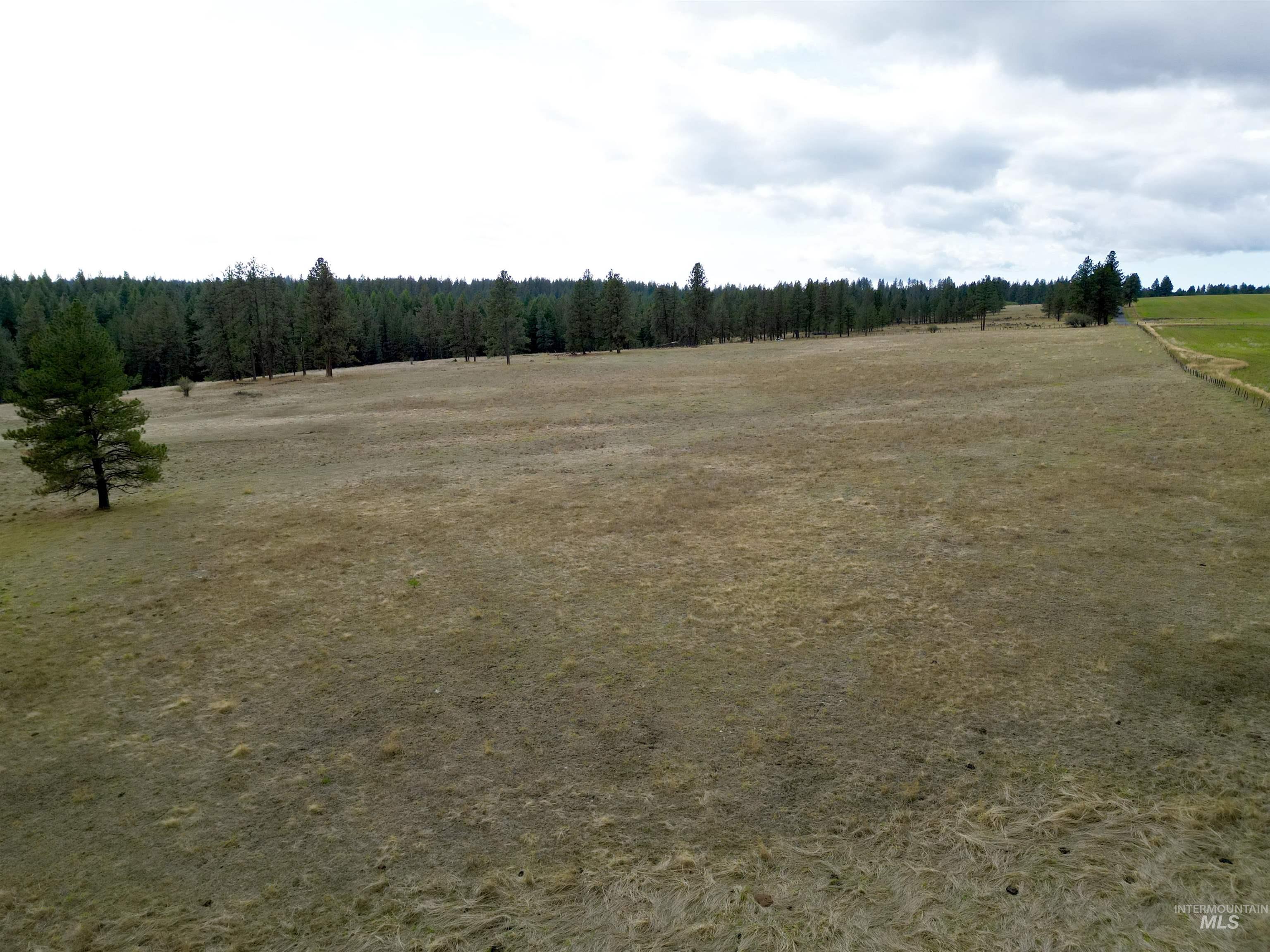 TBD Keuterville Road, CottonWood, Idaho 83526, Land For Sale, Price $149,000, 98924933