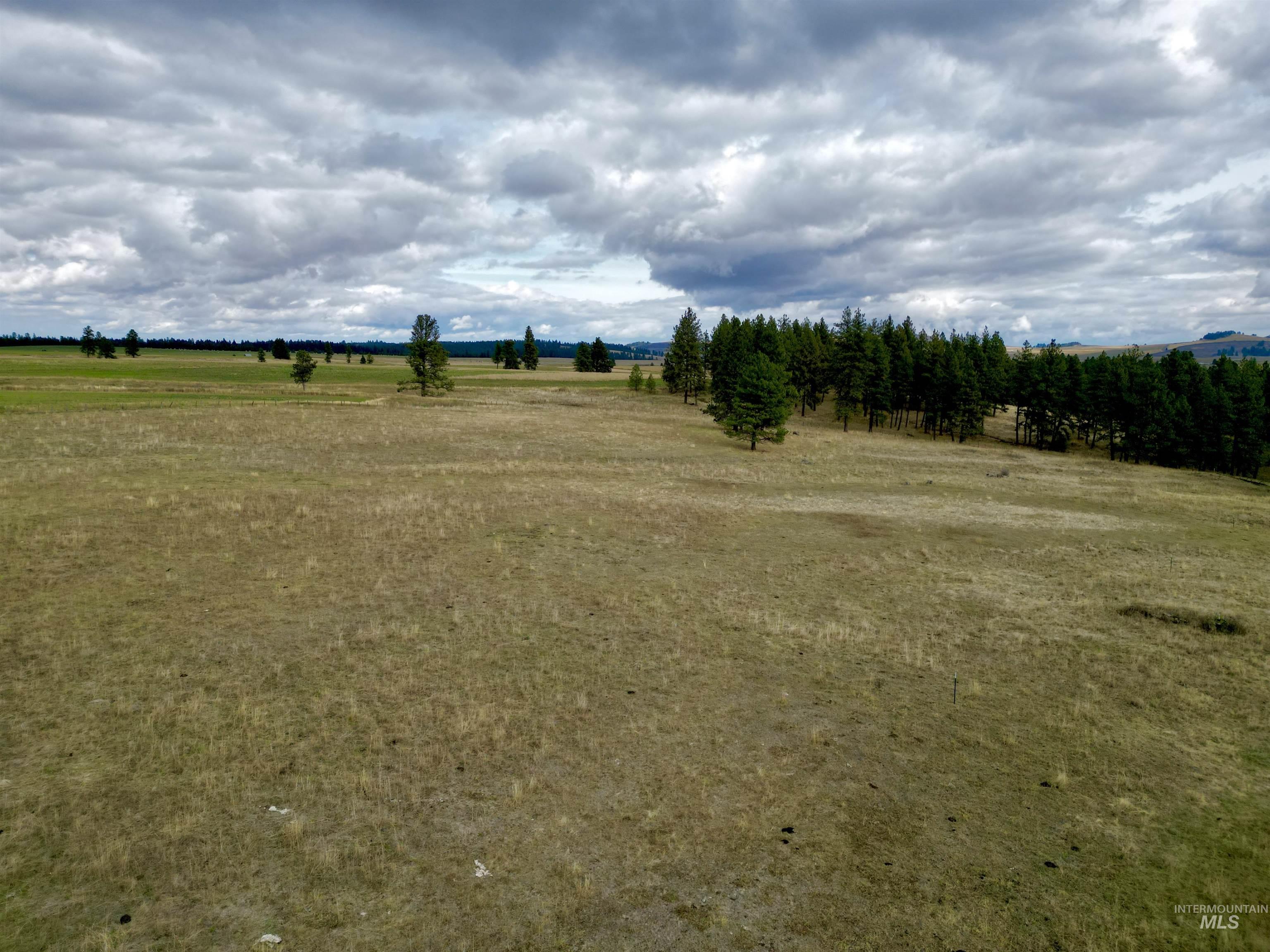 TBD Keuterville Road, CottonWood, Idaho 83526, Land For Sale, Price $149,000,MLS 98924933