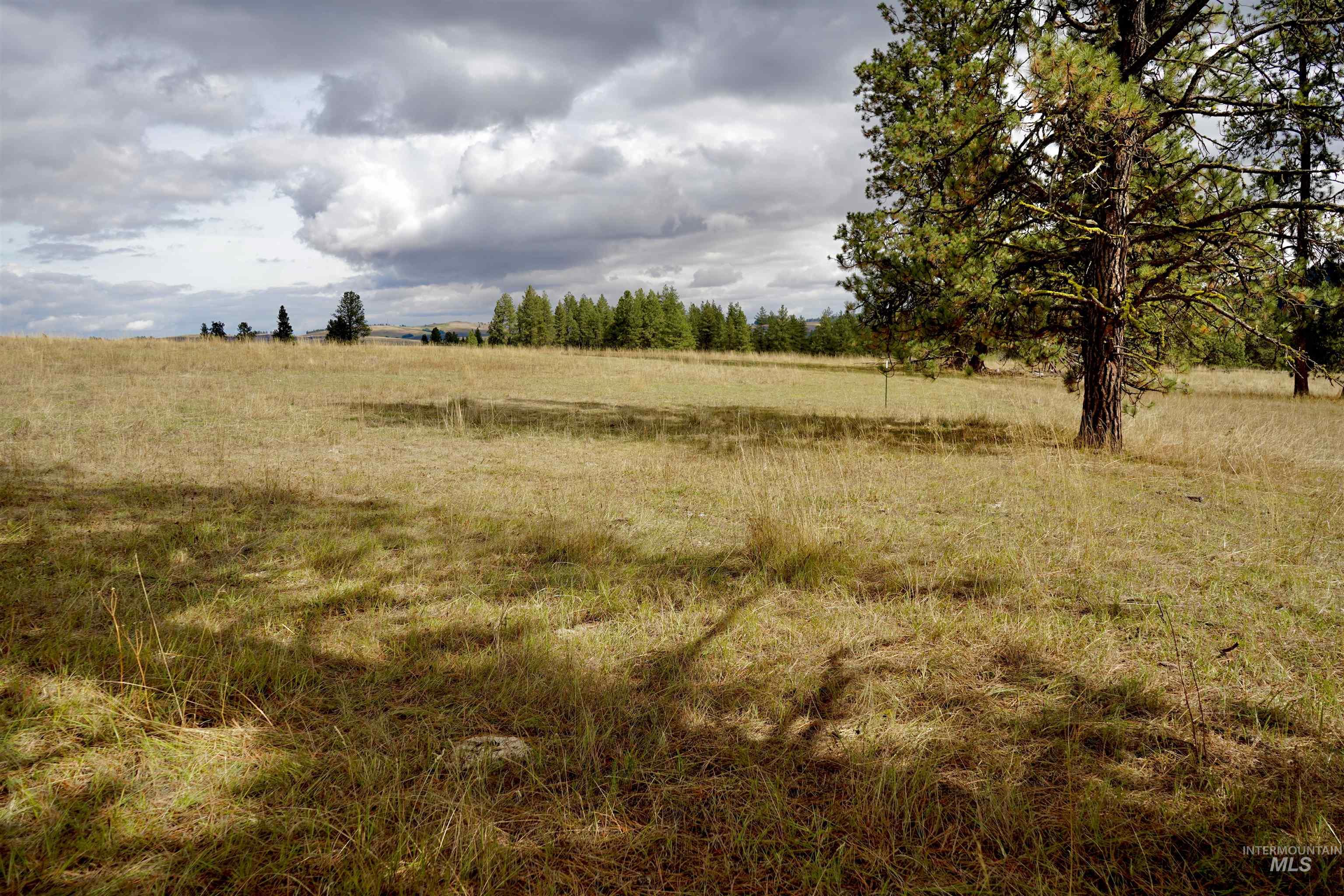 TBD Keuterville Road, CottonWood, Idaho 83526, Land For Sale, Price $149,000, 98924933
