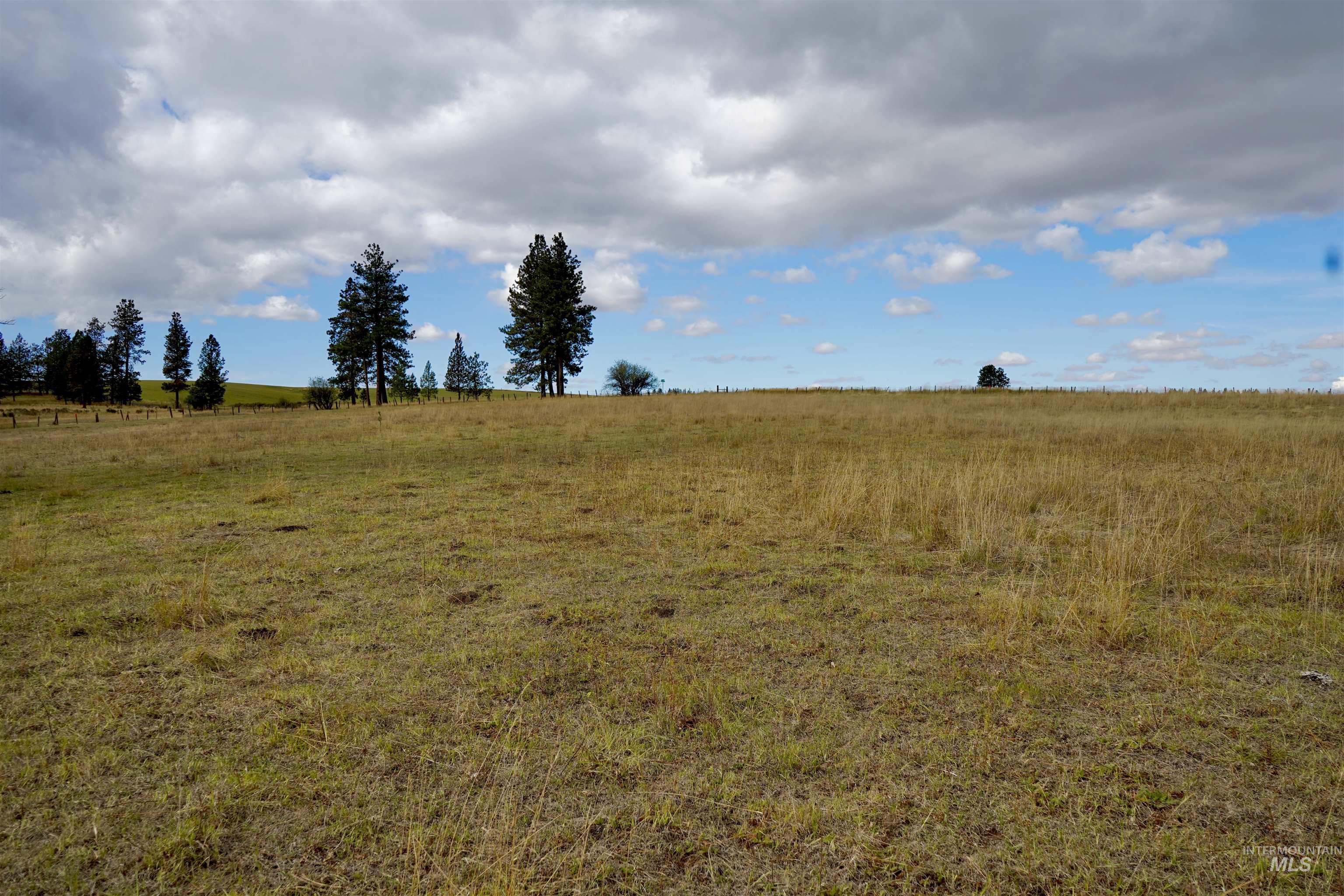 TBD Keuterville Road, CottonWood, Idaho 83526, Land For Sale, Price $149,000,MLS 98924933