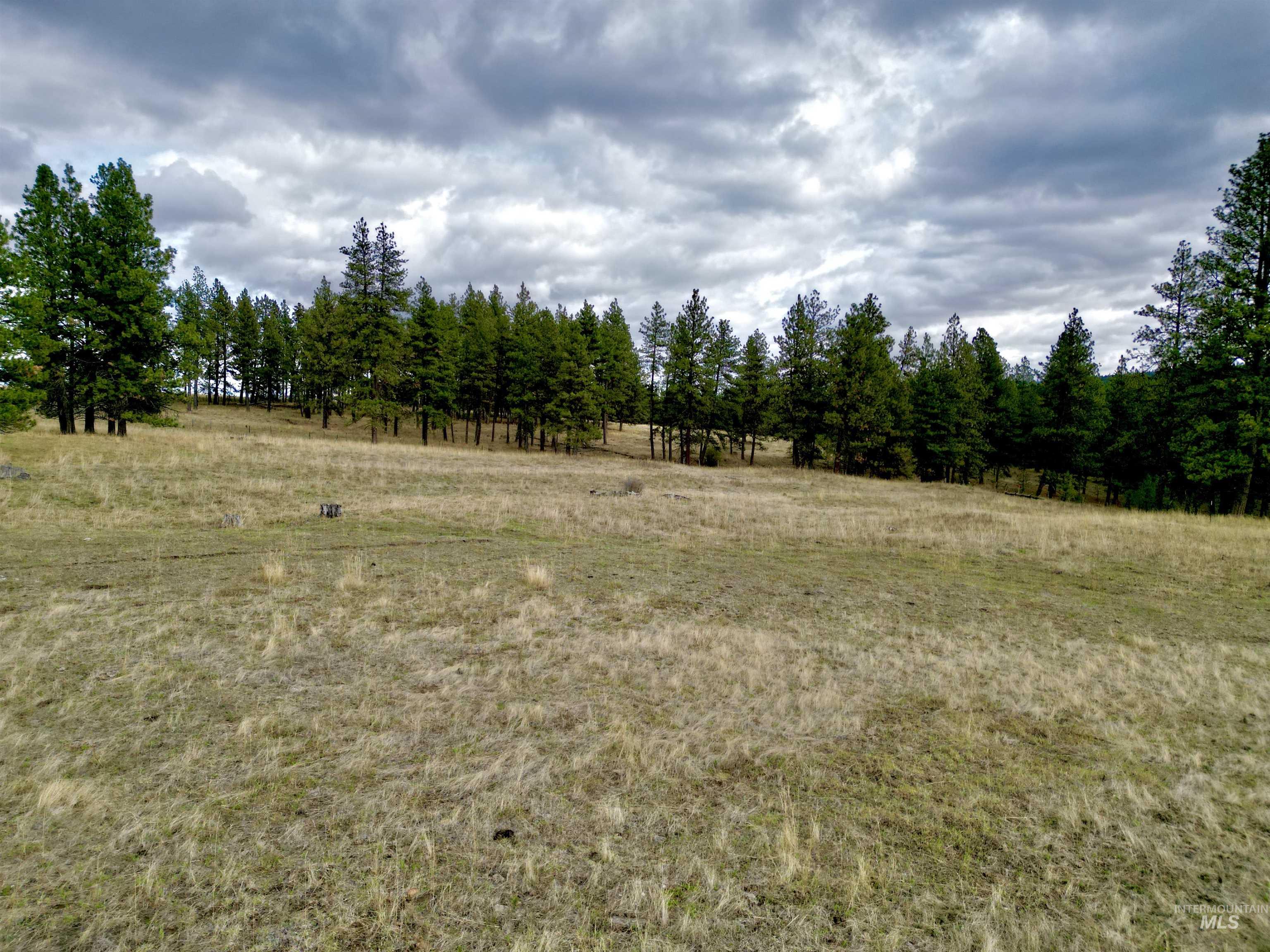 TBD Keuterville Road, CottonWood, Idaho 83526, Land For Sale, Price $149,000,MLS 98924933