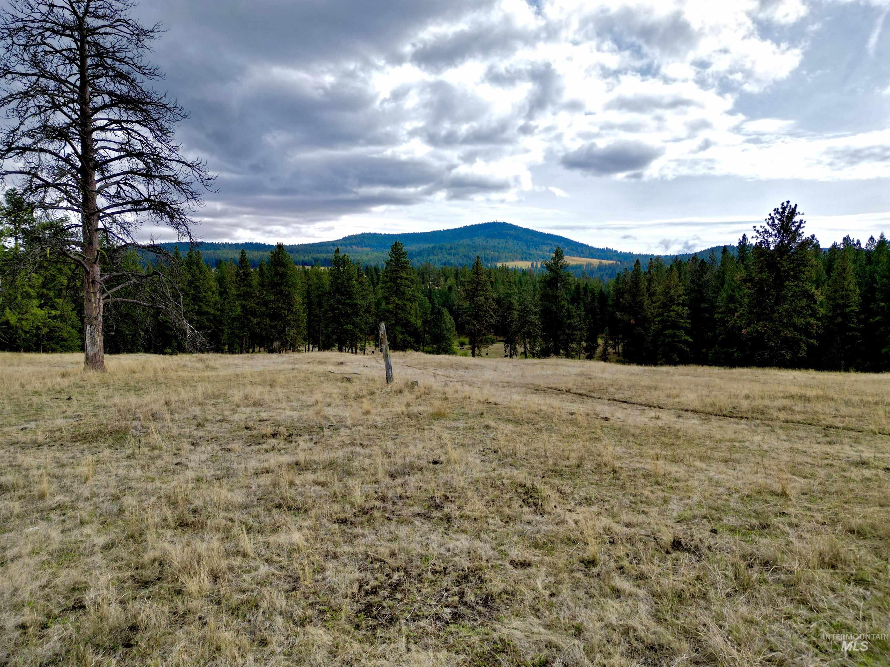 TBD Keuterville Road, CottonWood, Idaho 83526, Land For Sale, Price $149,000, 98924933
