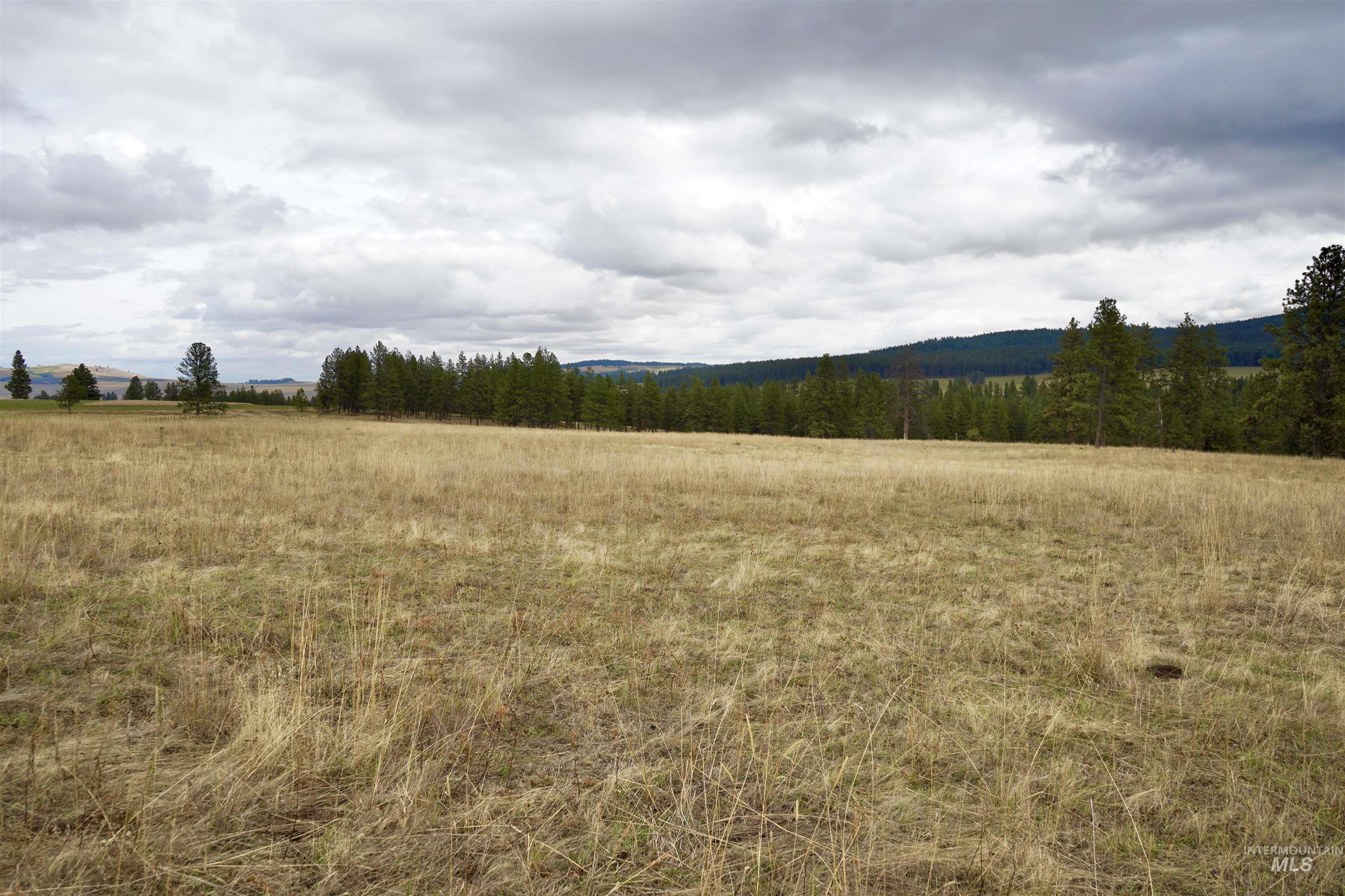 TBD Keuterville Road, CottonWood, Idaho 83526, Land For Sale, Price $149,000, 98924933