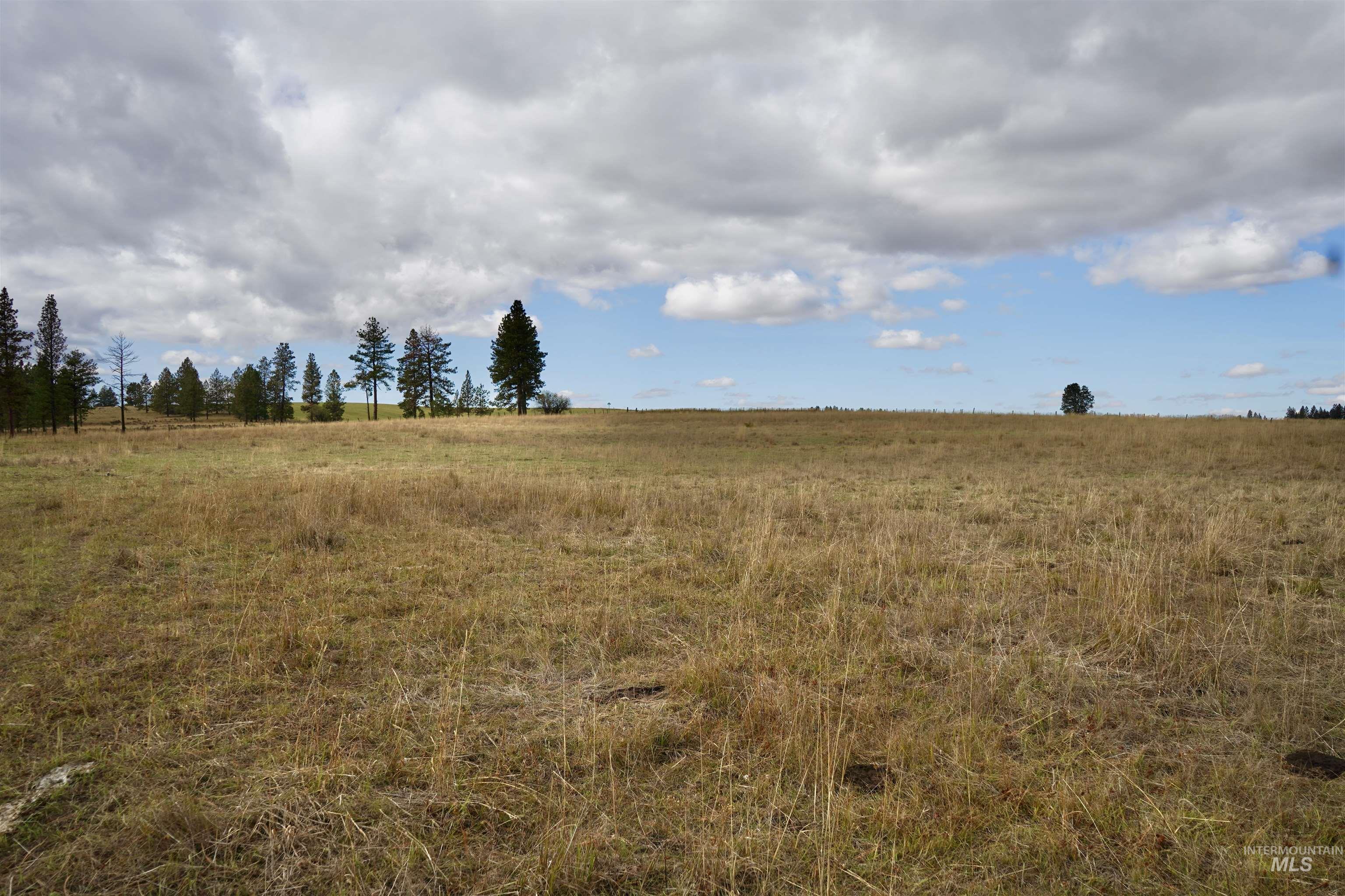 TBD Keuterville Road, CottonWood, Idaho 83526, Land For Sale, Price $149,000, 98924933