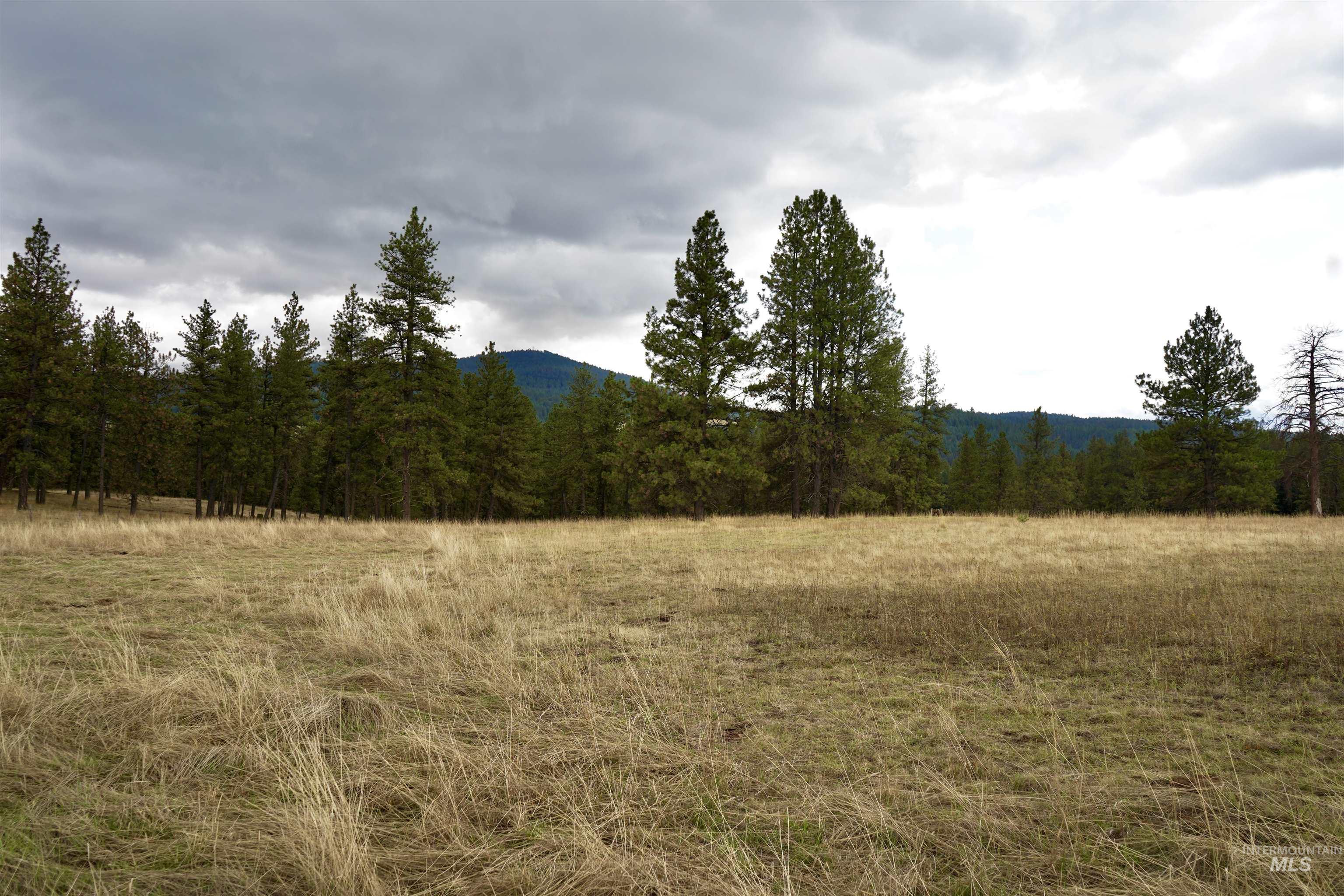 TBD Keuterville Road, CottonWood, Idaho 83526, Land For Sale, Price $149,000, 98924933