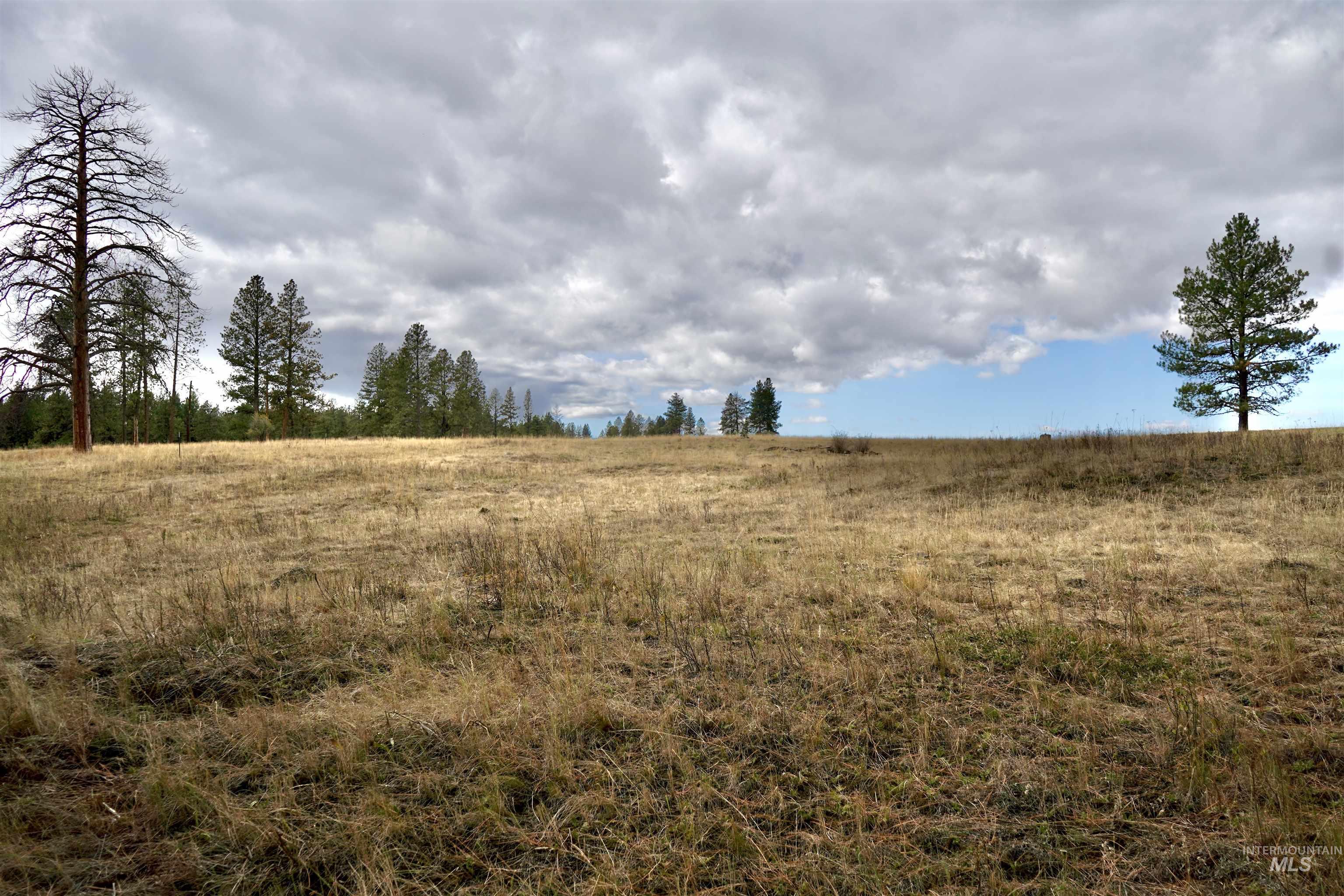 TBD Keuterville Road, CottonWood, Idaho 83526, Land For Sale, Price $149,000, 98924933