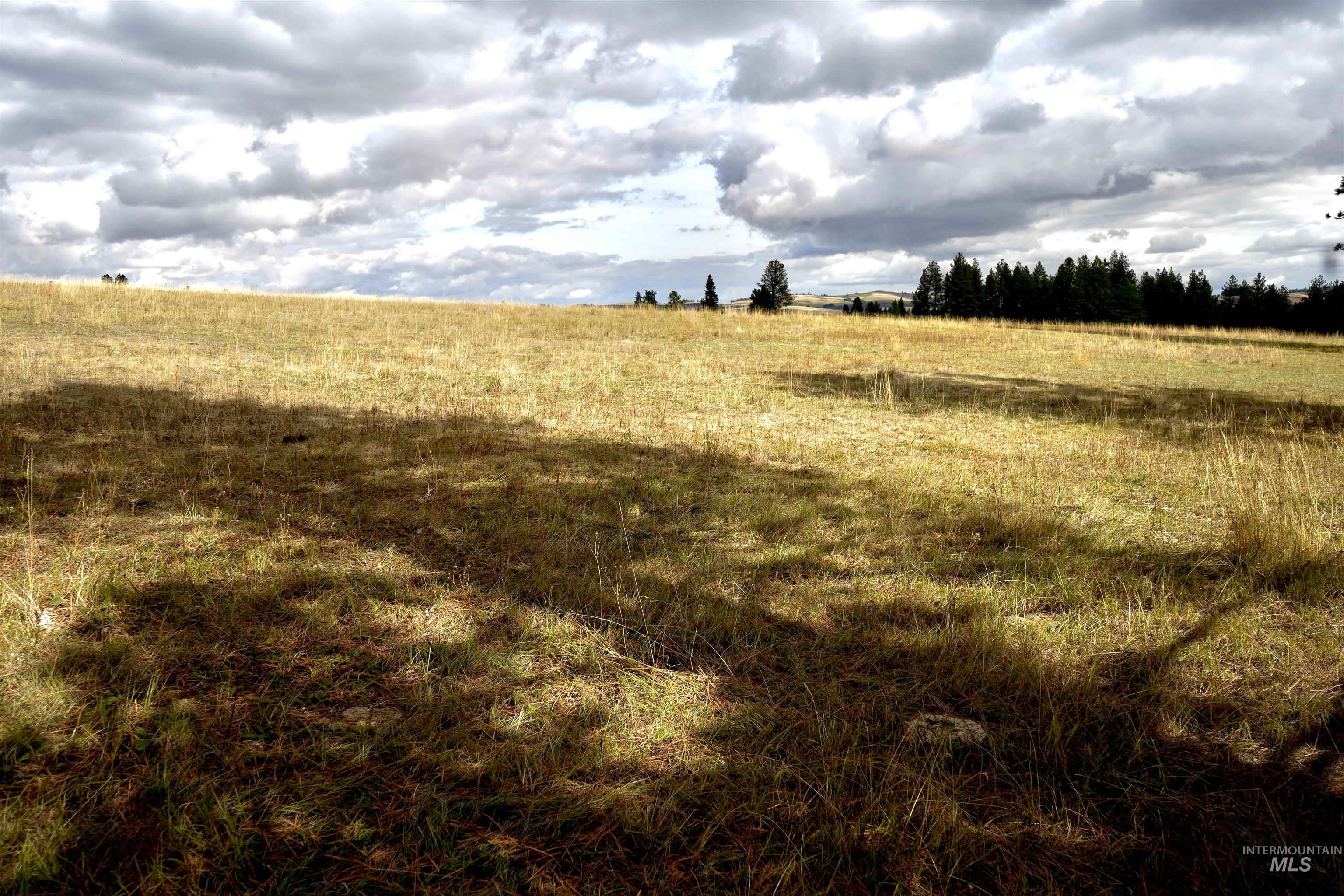 TBD Keuterville Road, CottonWood, Idaho 83526, Land For Sale, Price $149,000,MLS 98924933