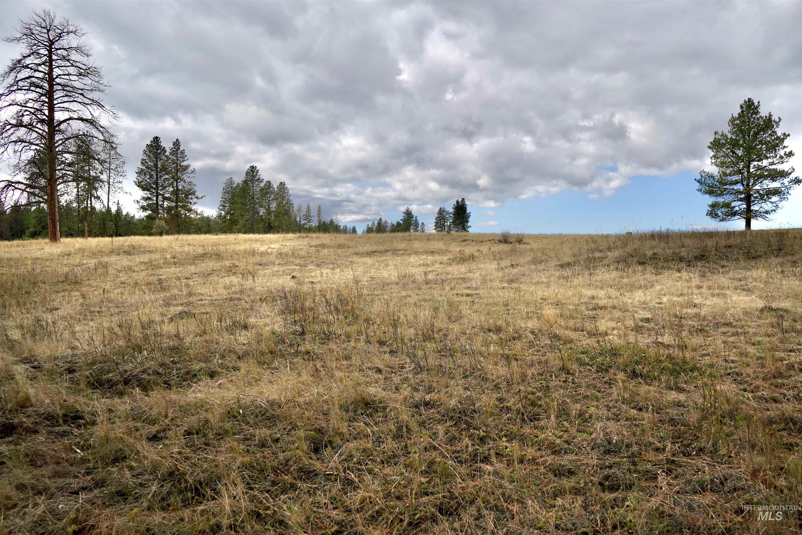 TBD Keuterville Road, CottonWood, Idaho 83526, Land For Sale, Price $149,000,MLS 98924933