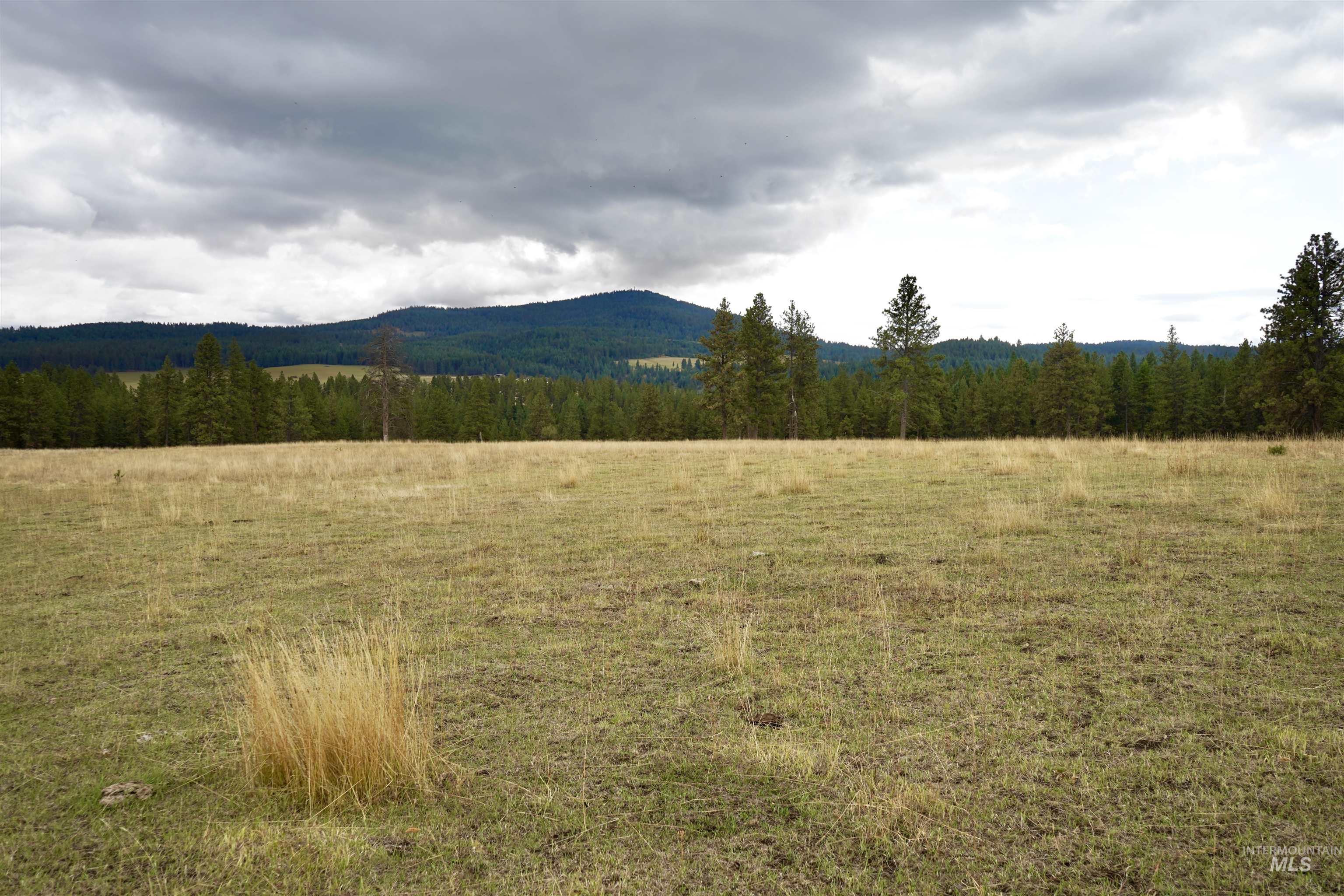 TBD Keuterville Road, CottonWood, Idaho 83526, Land For Sale, Price $149,000, 98924933