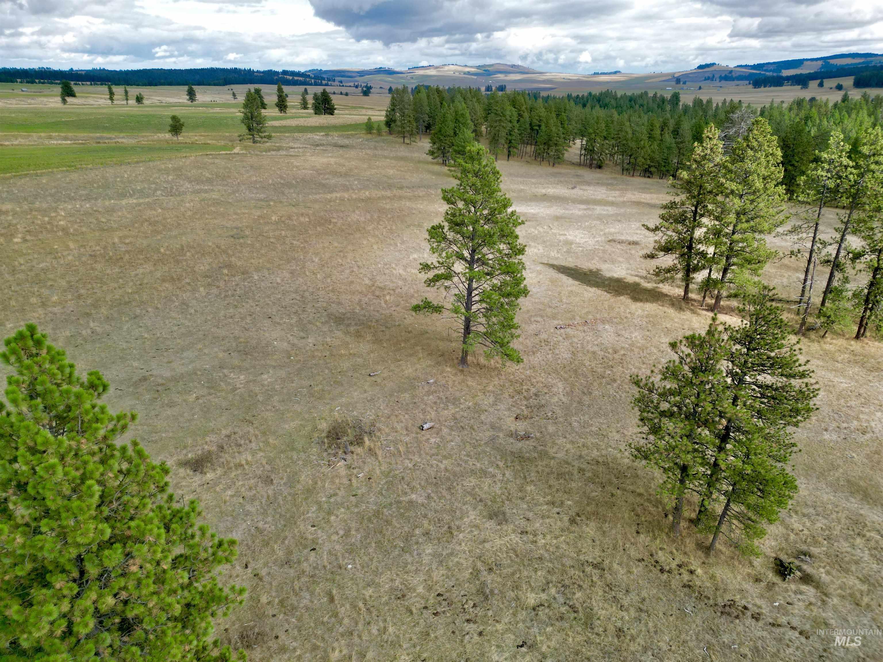 TBD Keuterville Road, CottonWood, Idaho 83526, Land For Sale, Price $149,000, 98924933