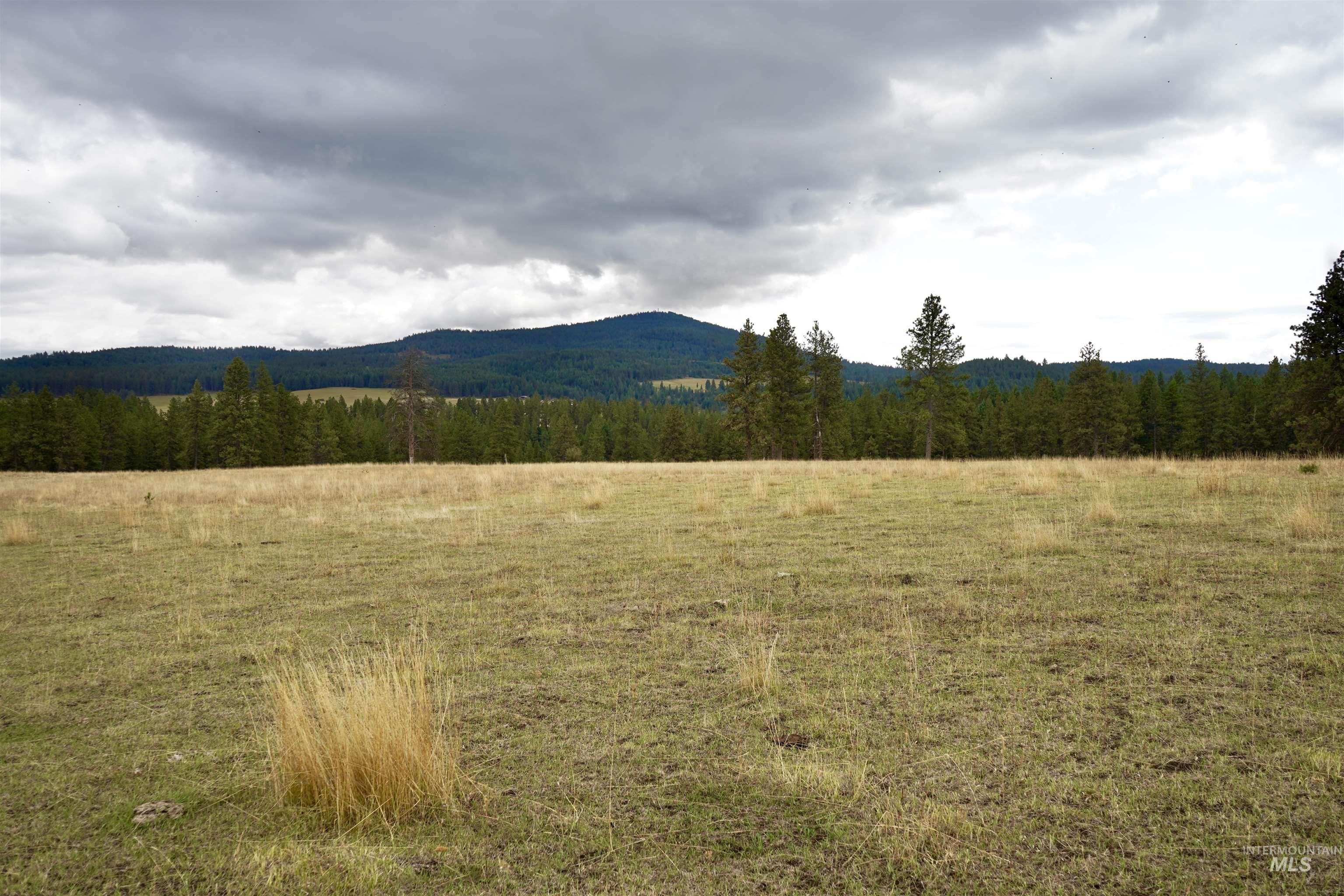 TBD Keuterville Road, CottonWood, Idaho 83526, Land For Sale, Price $149,000, 98924933