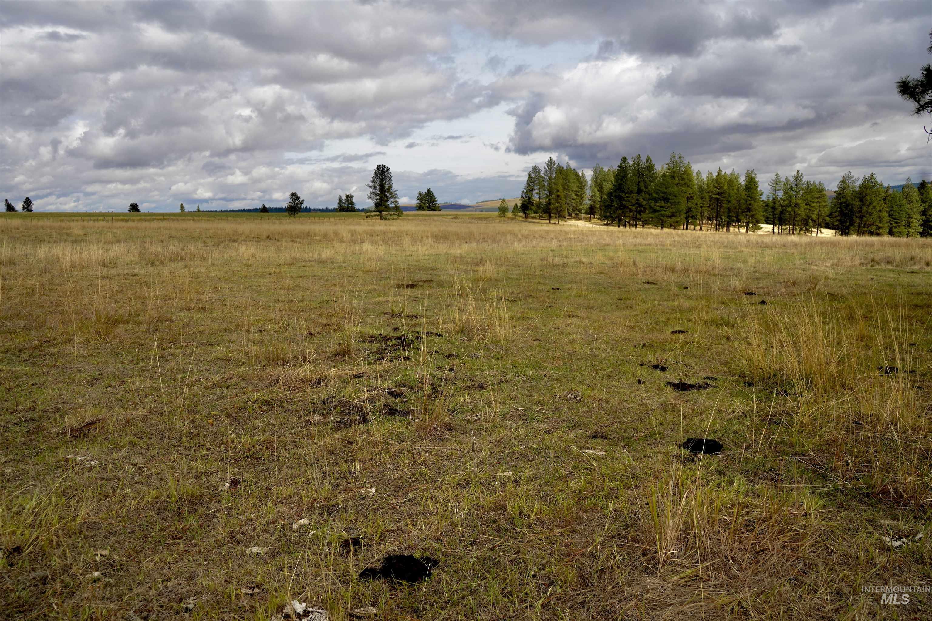TBD Keuterville Road, CottonWood, Idaho 83526, Land For Sale, Price $149,000, 98924933