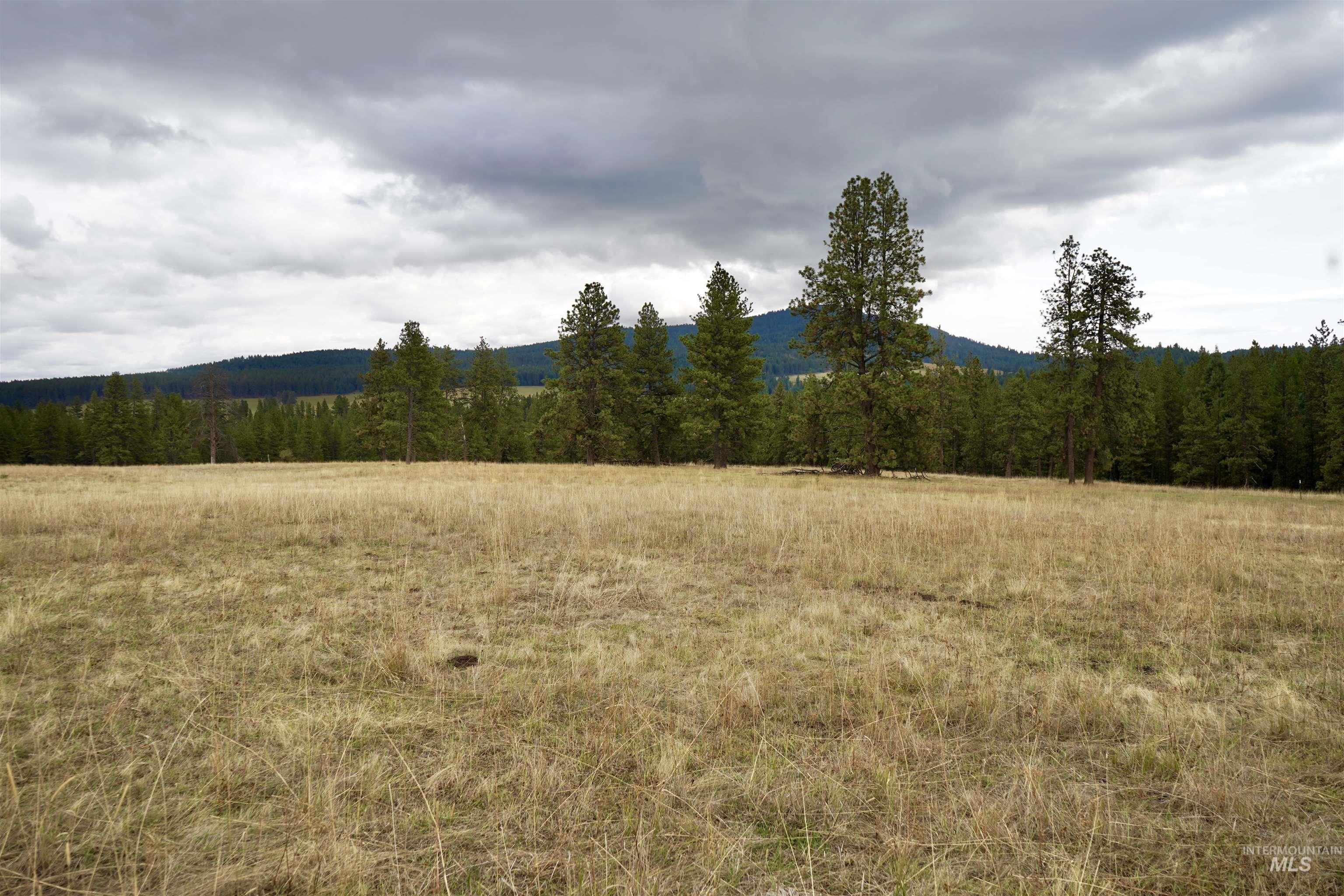 TBD Keuterville Road, CottonWood, Idaho 83526, Land For Sale, Price $149,000, 98924933