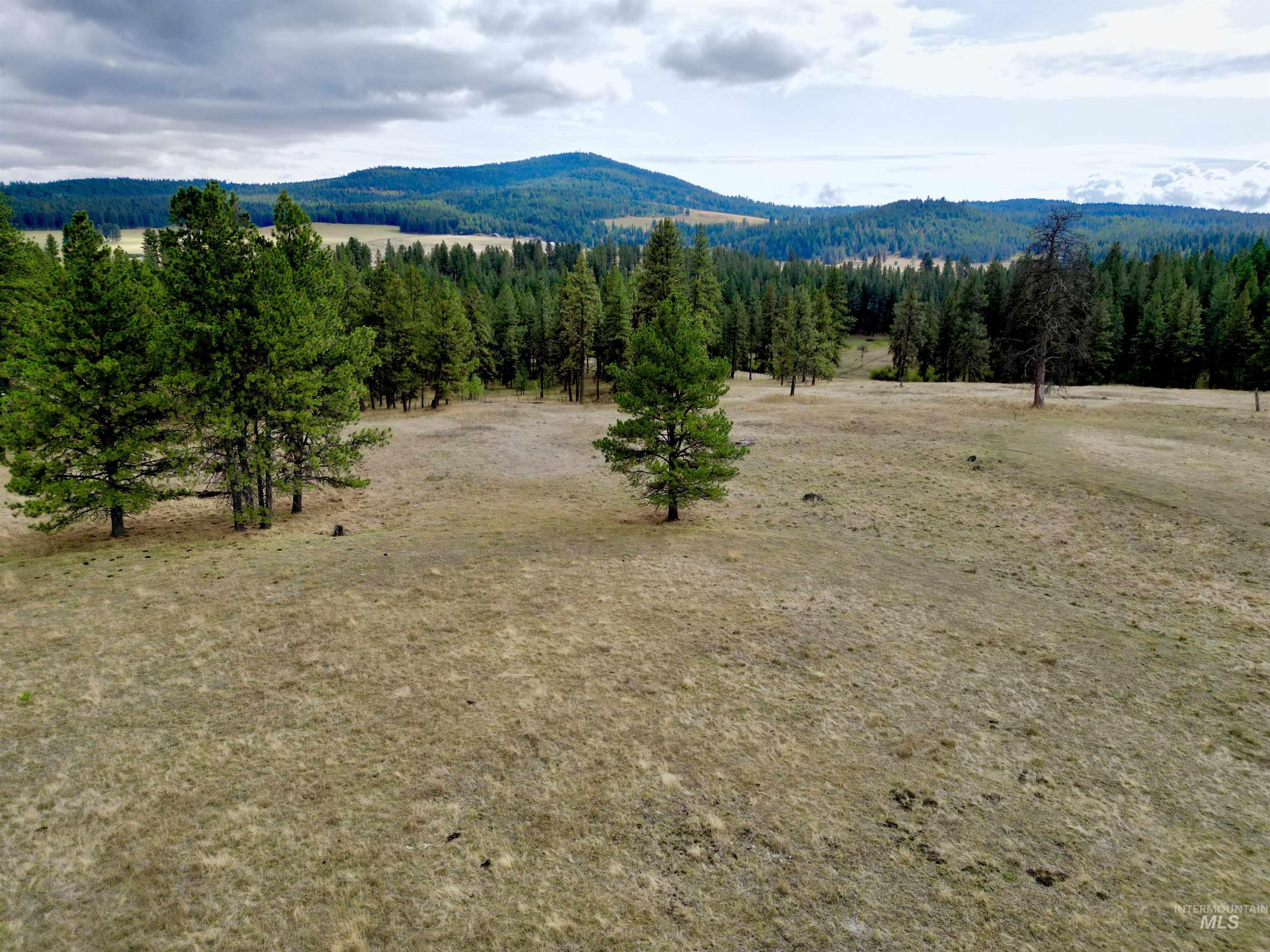 TBD Keuterville Road, CottonWood, Idaho 83526, Land For Sale, Price $149,000,MLS 98924933