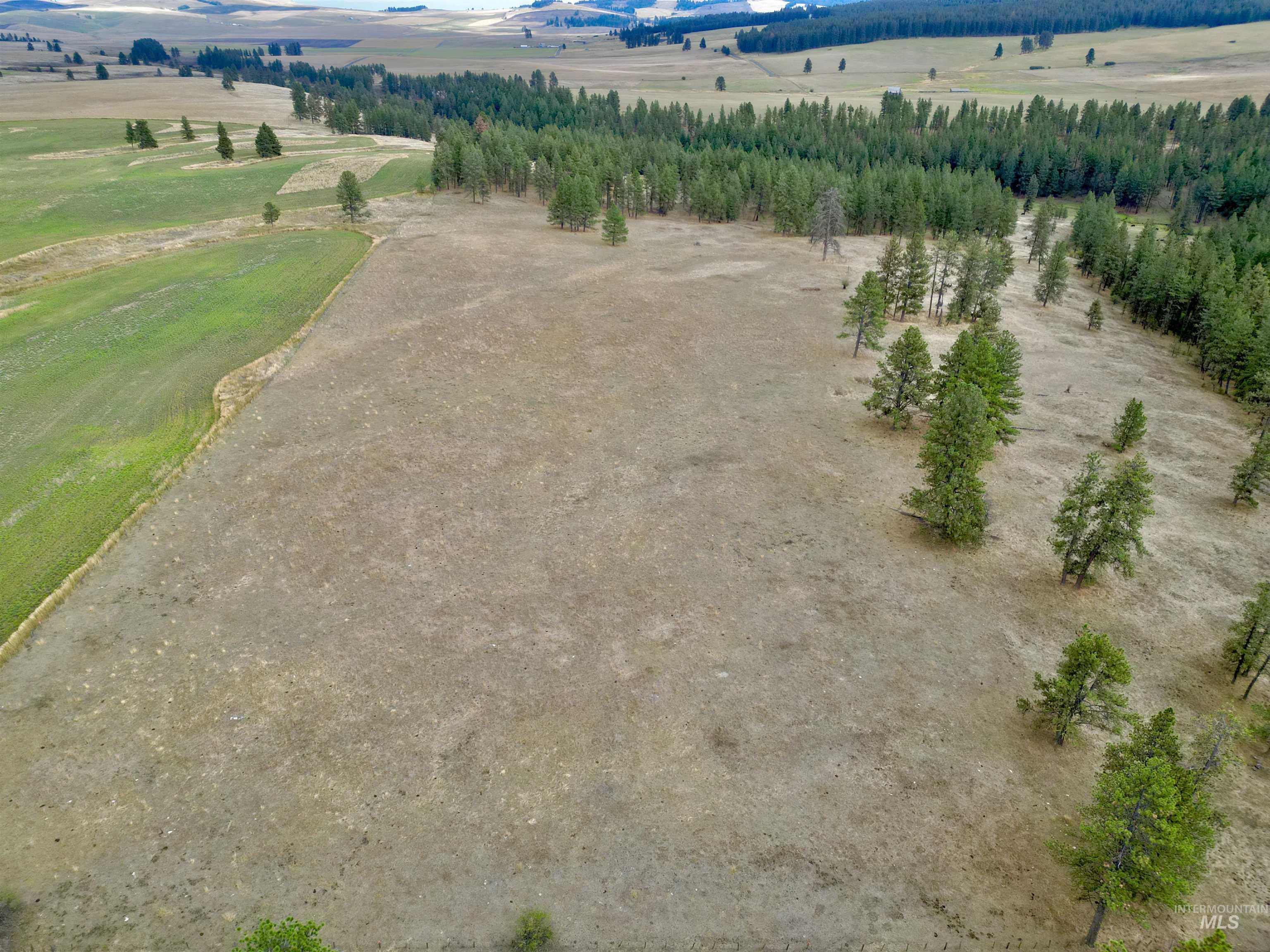 TBD Keuterville Road, CottonWood, Idaho 83526, Land For Sale, Price $149,000, 98924933