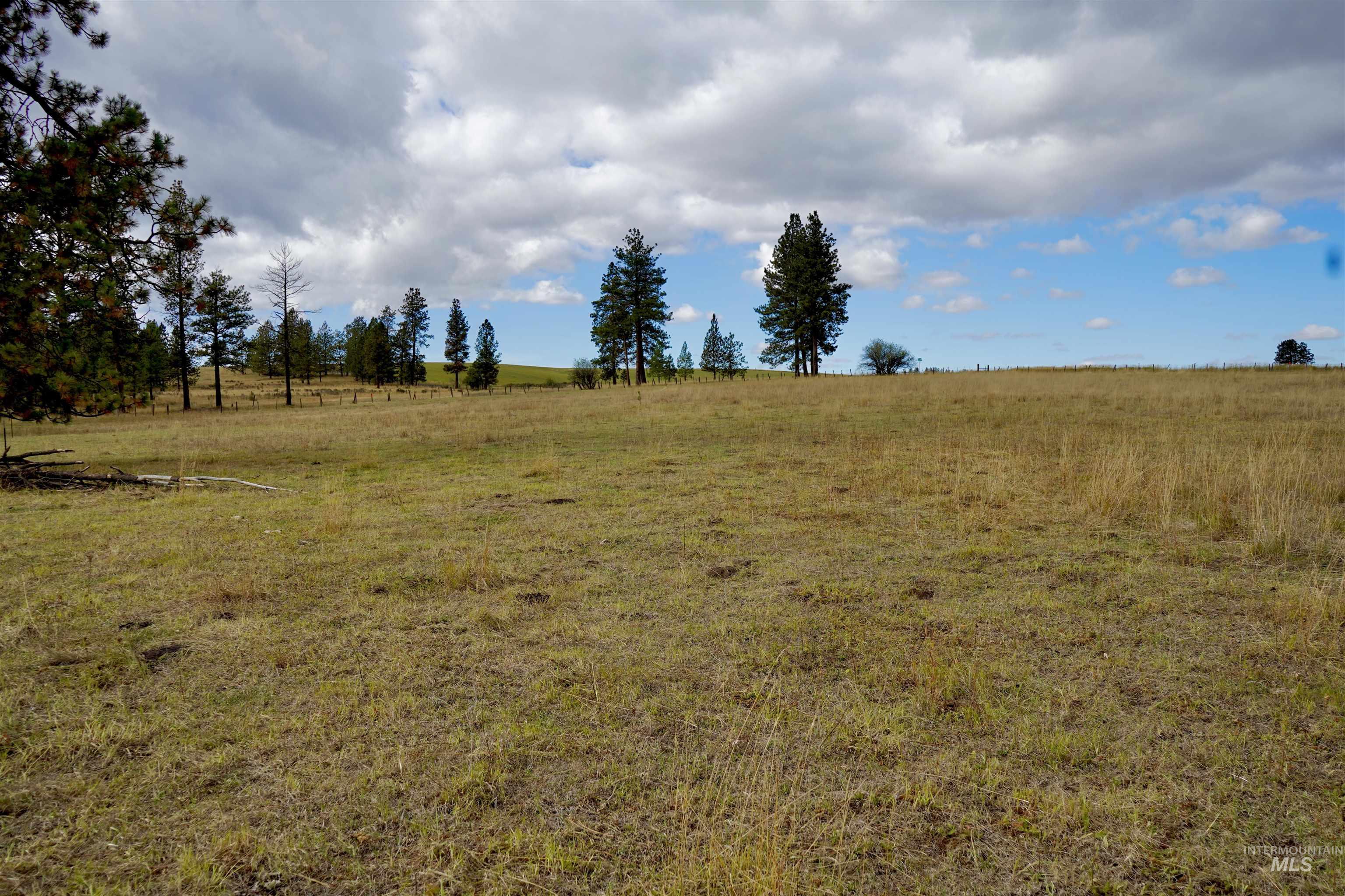 TBD Keuterville Road, CottonWood, Idaho 83526, Land For Sale, Price $149,000, 98924933