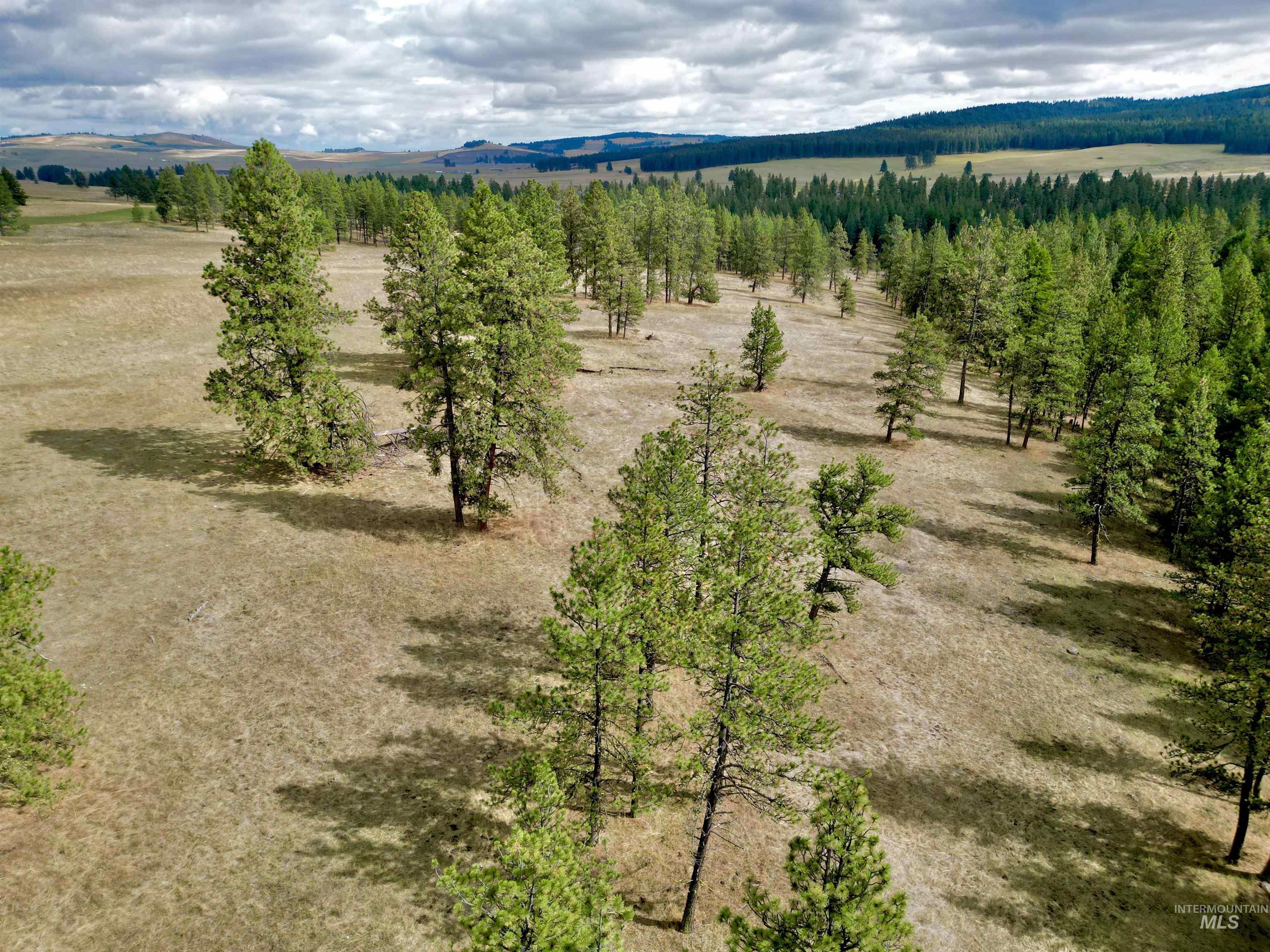 TBD Keuterville Road, CottonWood, Idaho 83526, Land For Sale, Price $149,000, 98924933