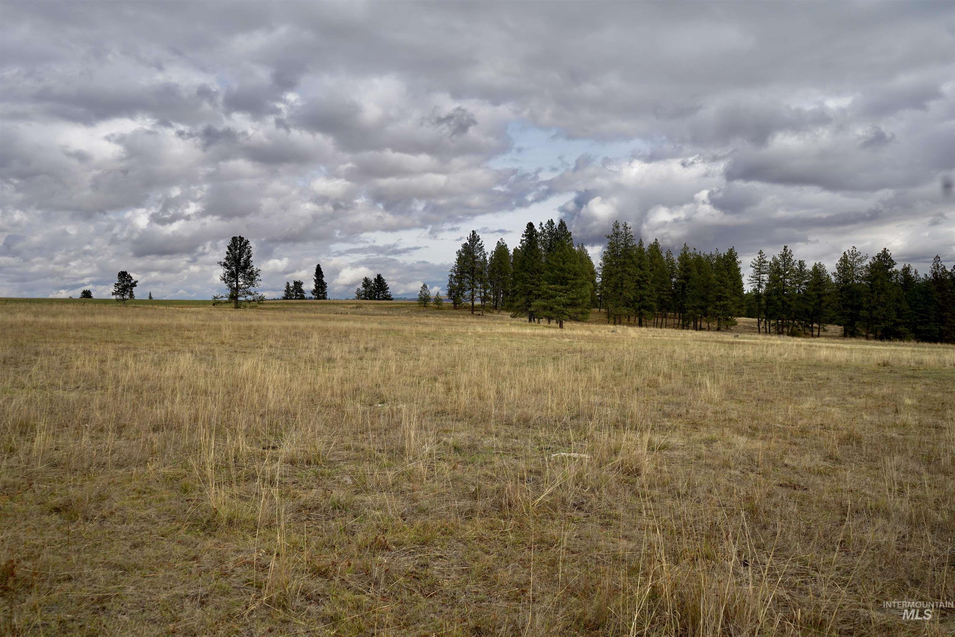 TBD Keuterville Road, CottonWood, Idaho 83526, Land For Sale, Price $149,000, 98924933
