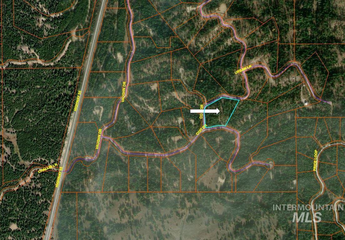 47 Coit Drive, Cascade, Idaho 83611, Land For Sale, Price $268,900,MLS 98925015