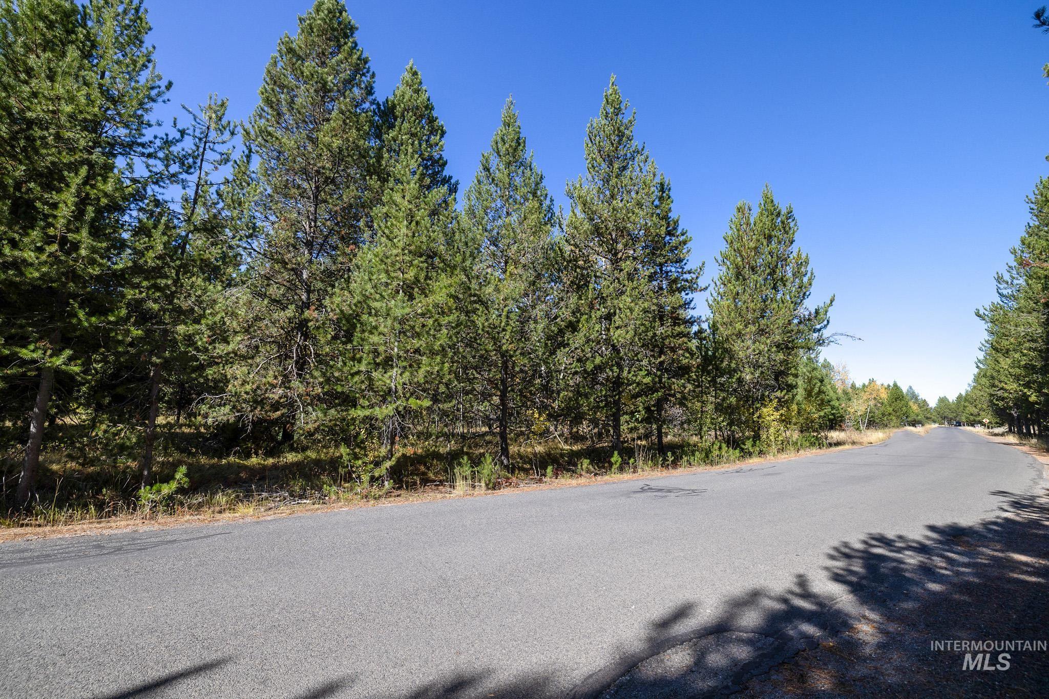 165 Coy Rd, McCall, Idaho 83638, Land For Sale, Price $209,900, 98925067