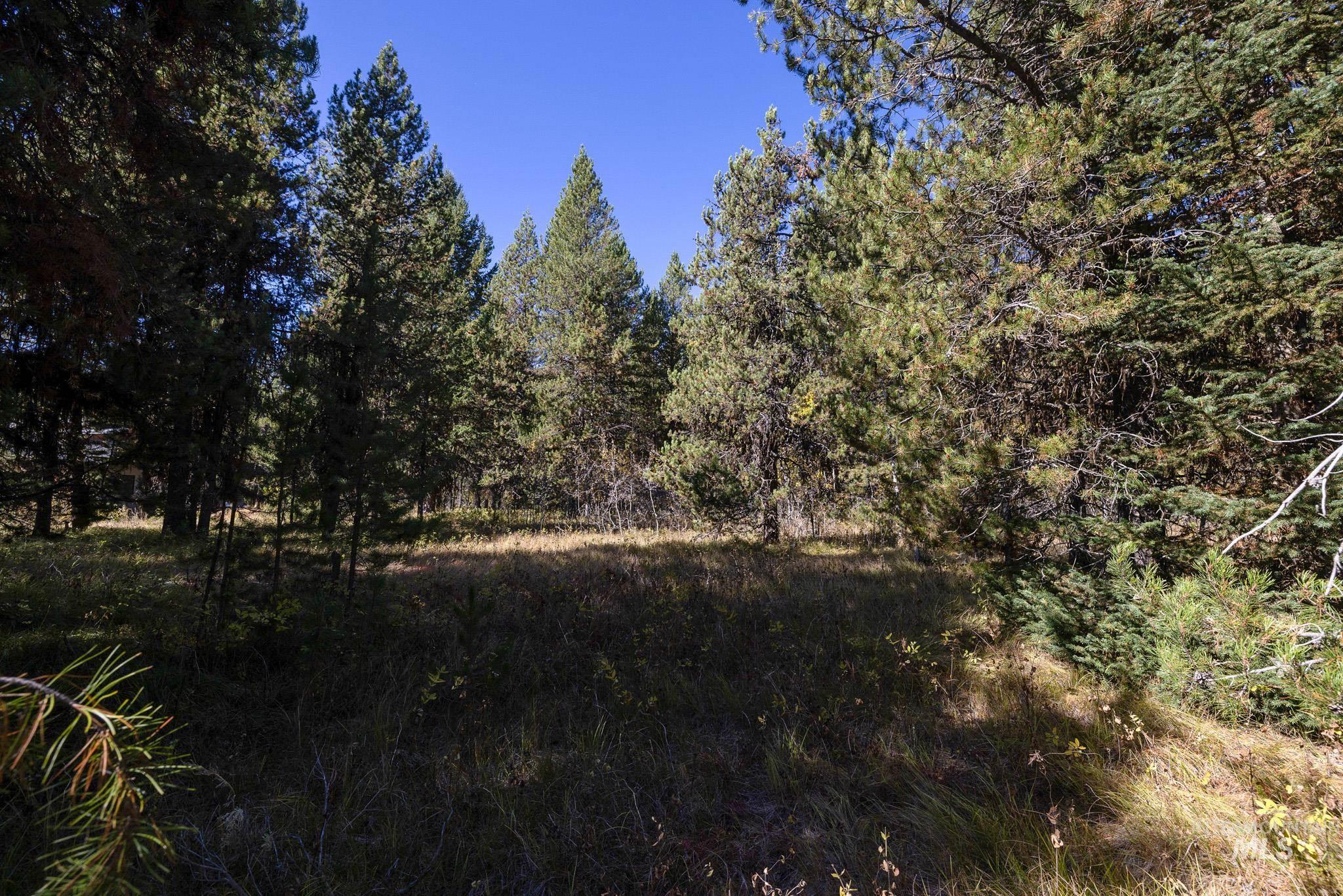 165 Coy Rd, McCall, Idaho 83638, Land For Sale, Price $209,900, 98925067
