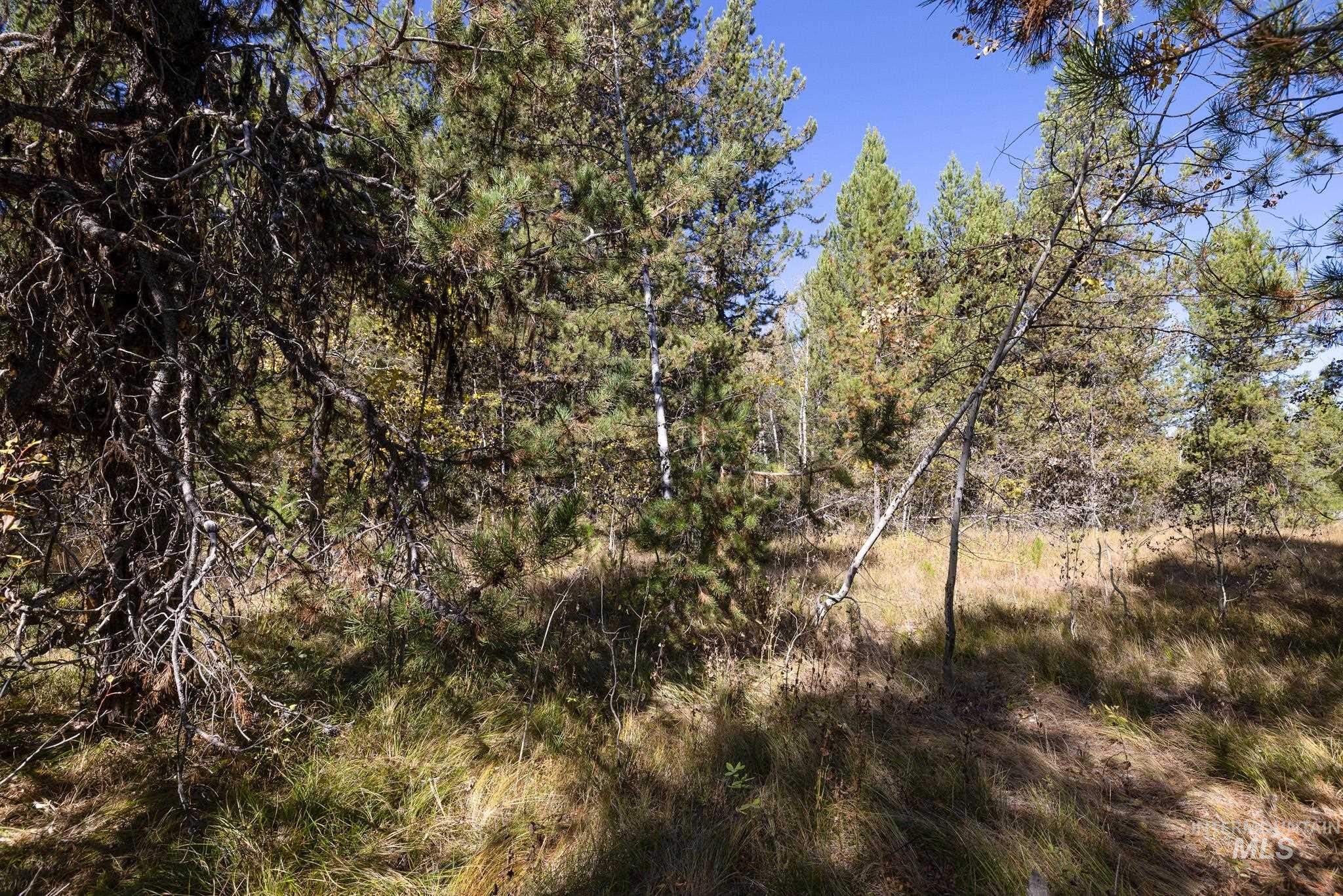 165 Coy Rd, McCall, Idaho 83638, Land For Sale, Price $209,900, 98925067