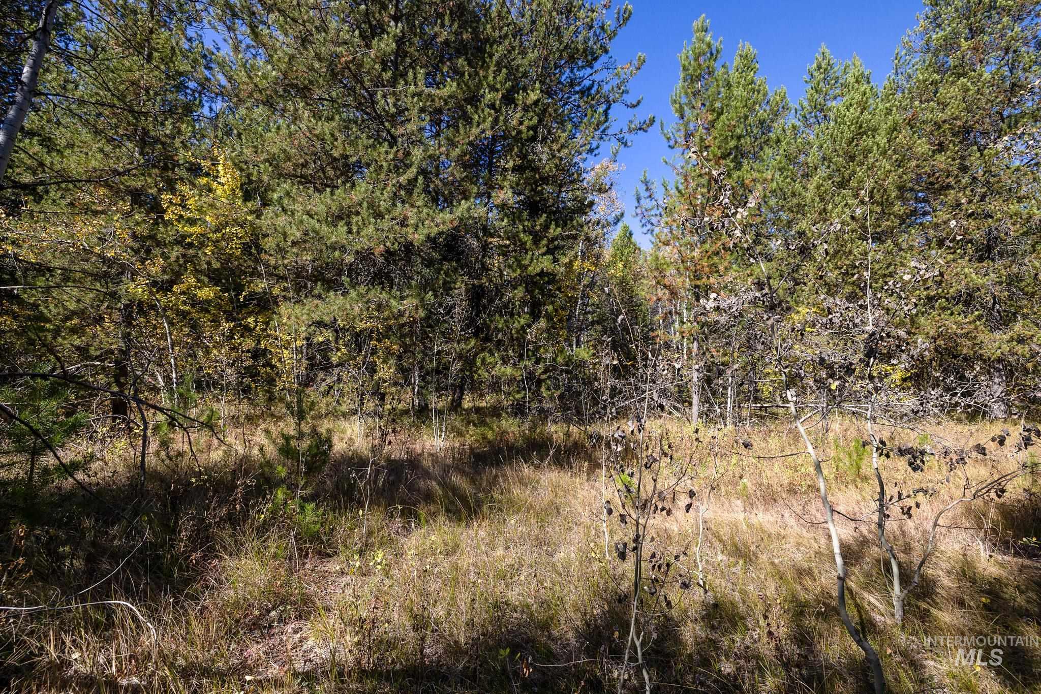 165 Coy Rd, McCall, Idaho 83638, Land For Sale, Price $209,900, 98925067