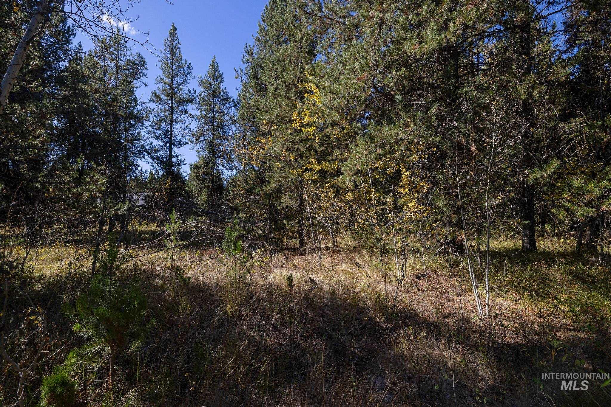 165 Coy Rd, McCall, Idaho 83638, Land For Sale, Price $209,900, 98925067