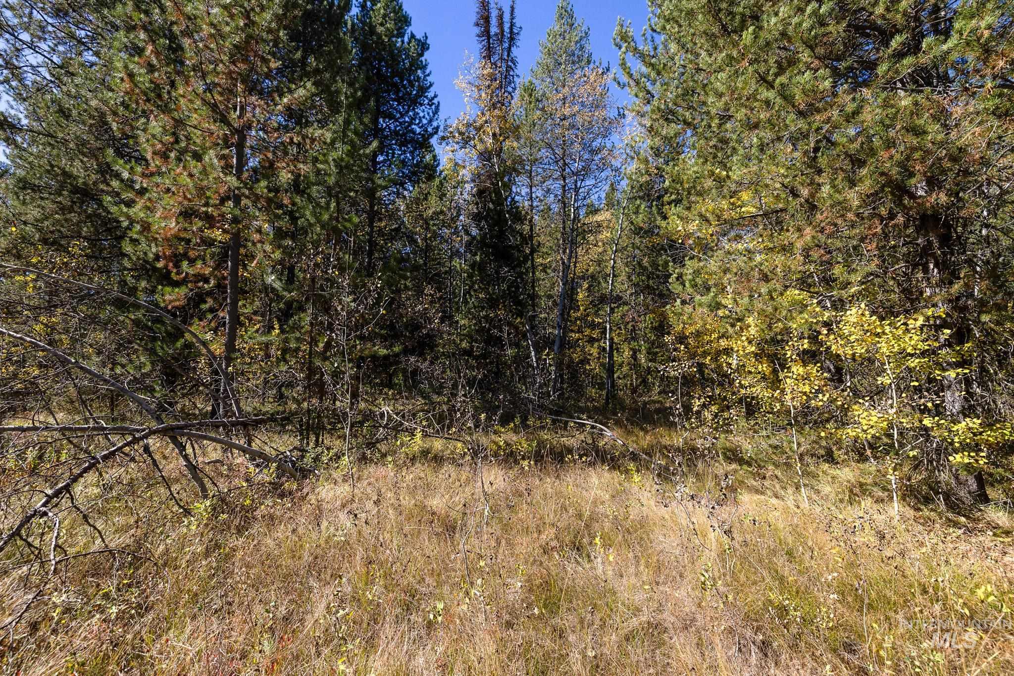 165 Coy Rd, McCall, Idaho 83638, Land For Sale, Price $209,900, 98925067