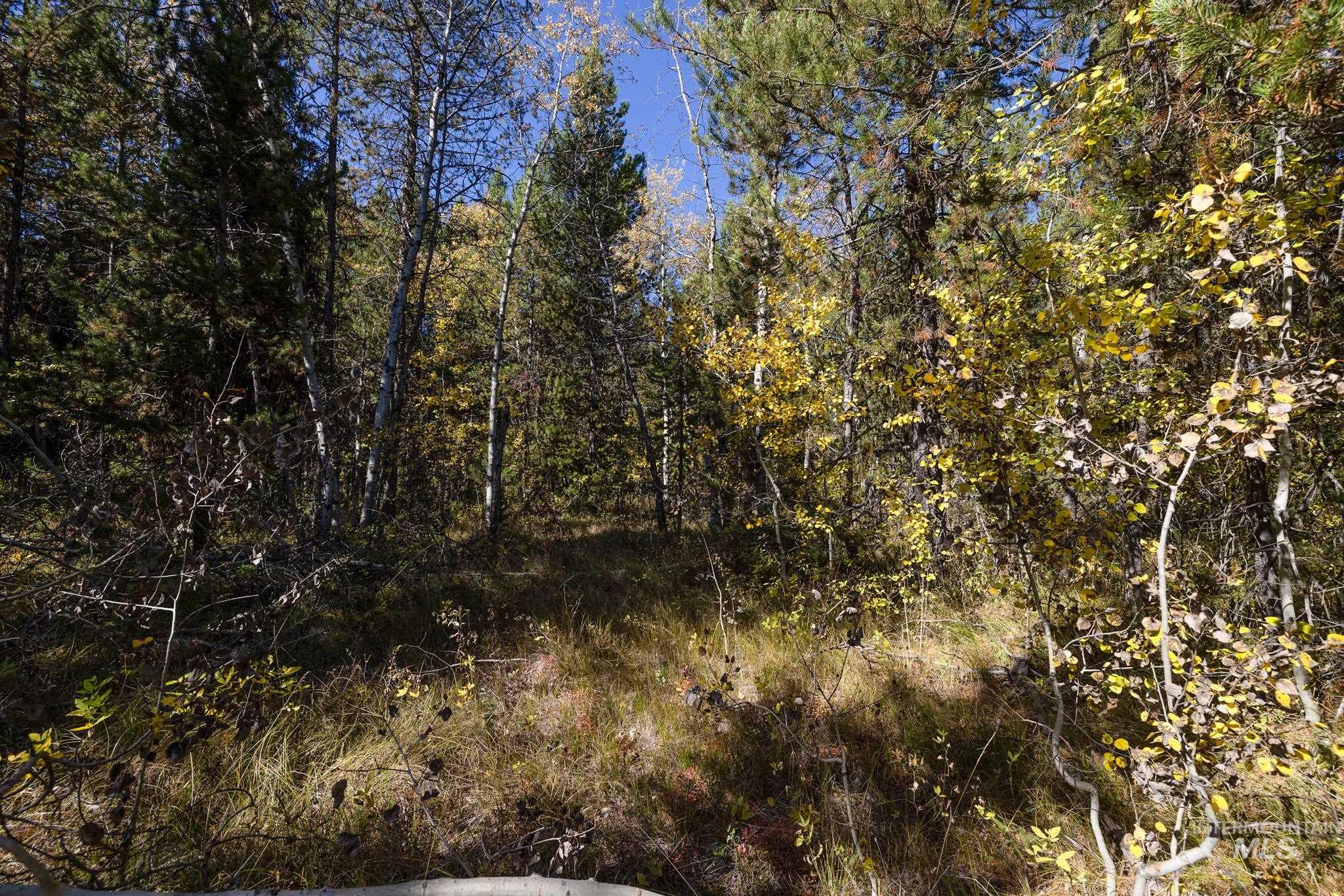 165 Coy Rd, McCall, Idaho 83638, Land For Sale, Price $209,900, 98925067