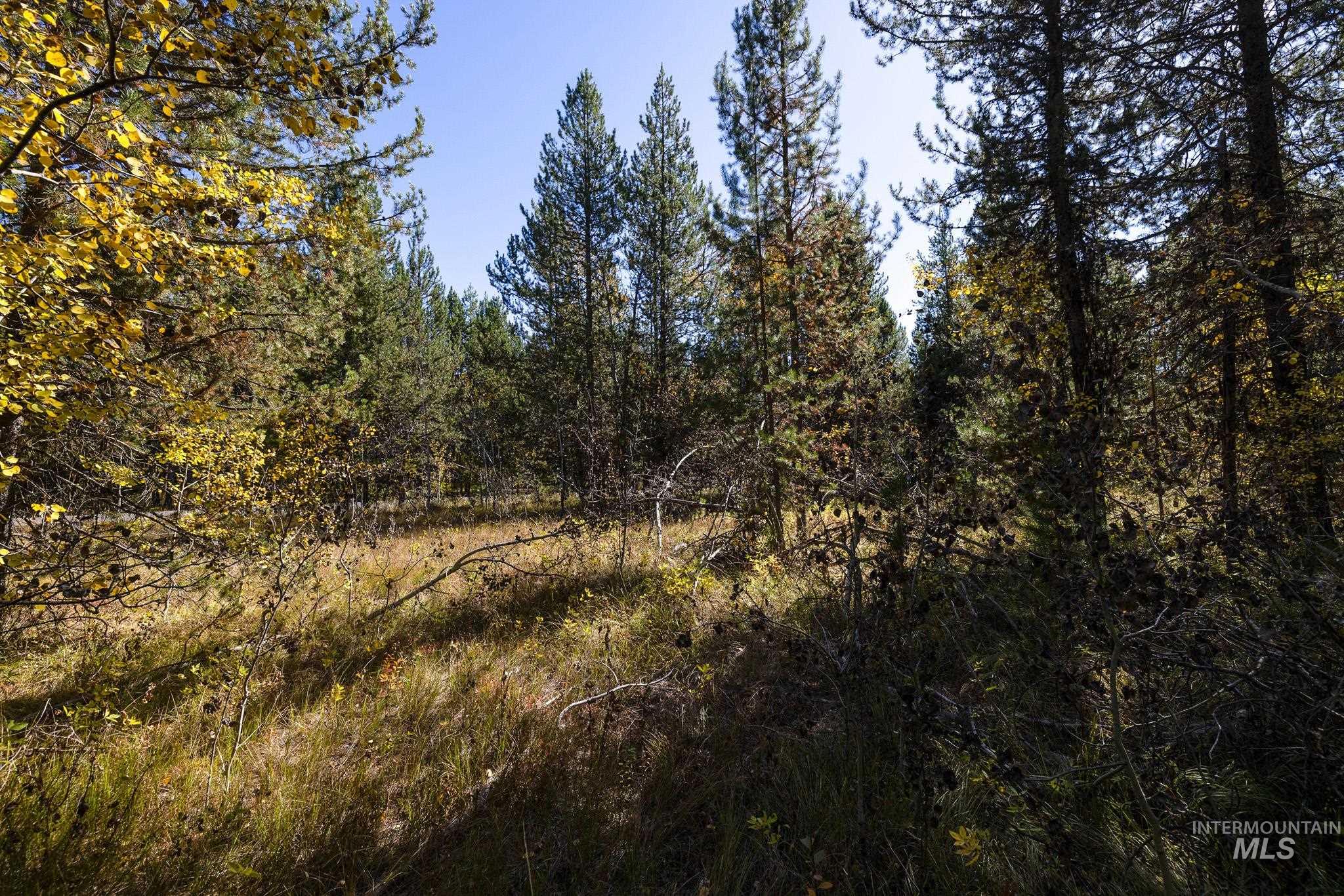 165 Coy Rd, McCall, Idaho 83638, Land For Sale, Price $209,900, 98925067
