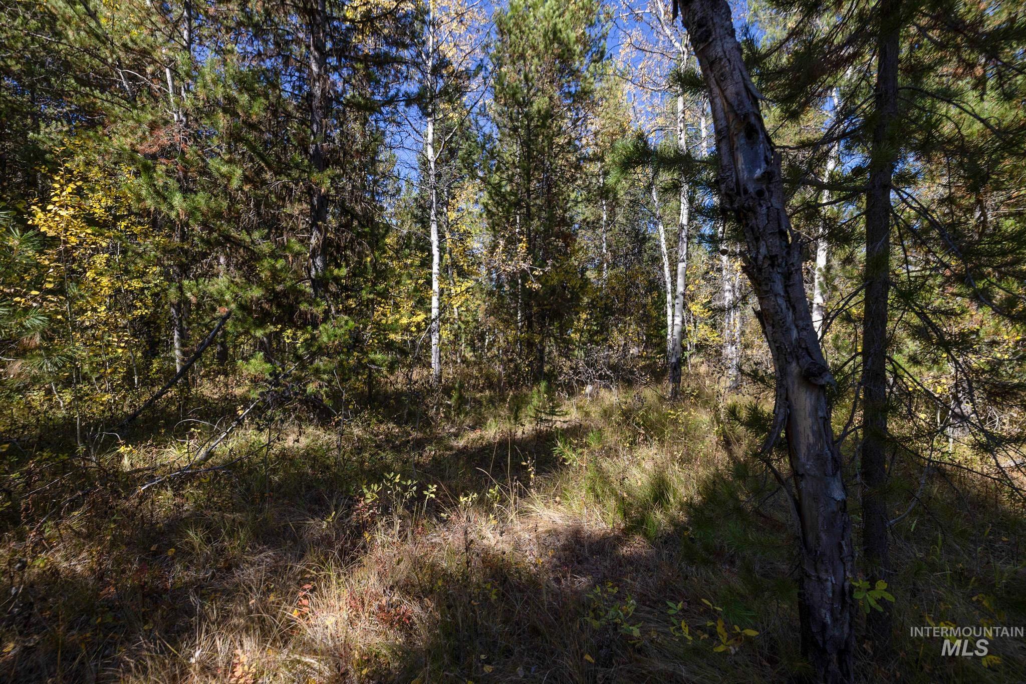 165 Coy Rd, McCall, Idaho 83638, Land For Sale, Price $209,900, 98925067