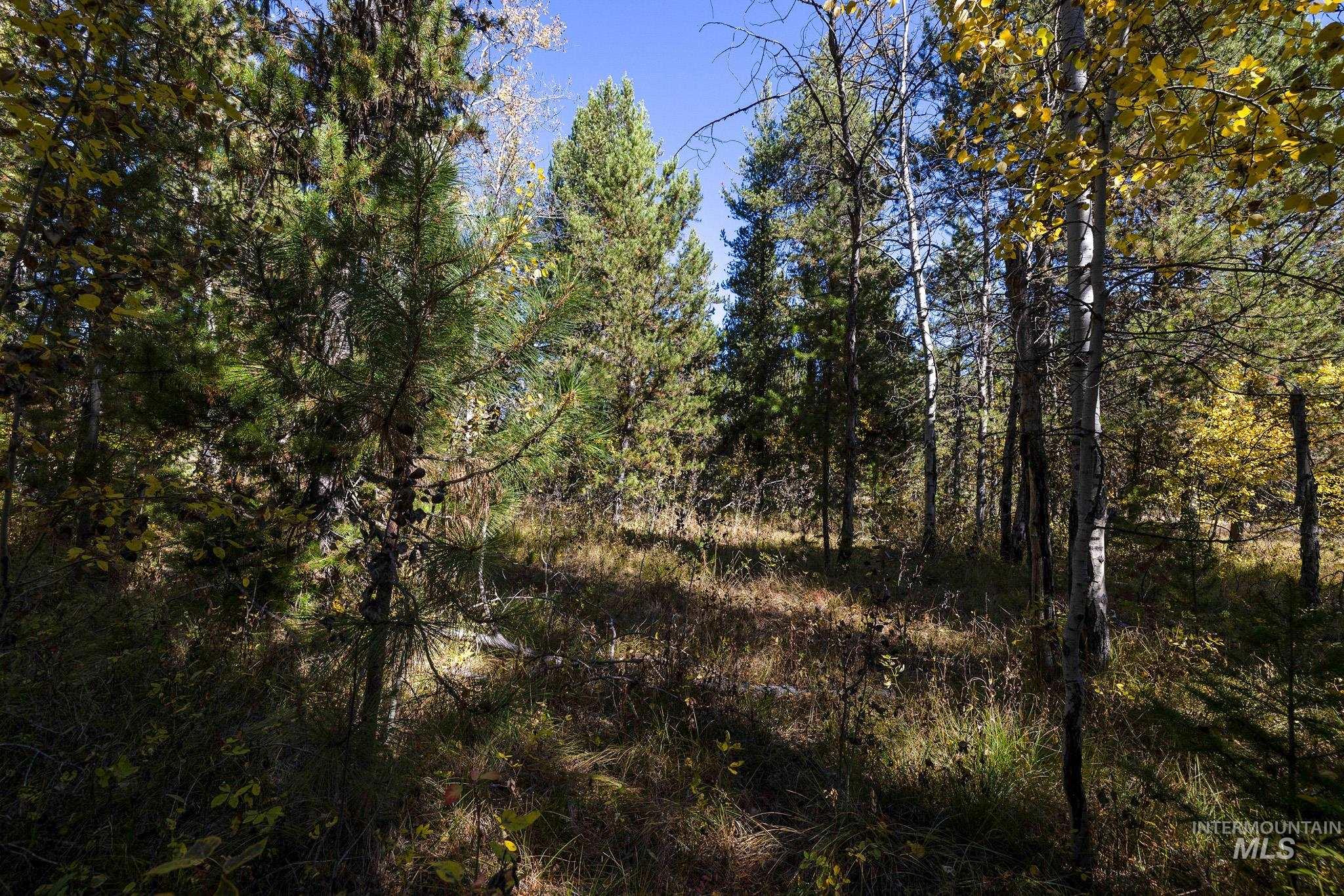 165 Coy Rd, McCall, Idaho 83638, Land For Sale, Price $209,900,MLS 98925067