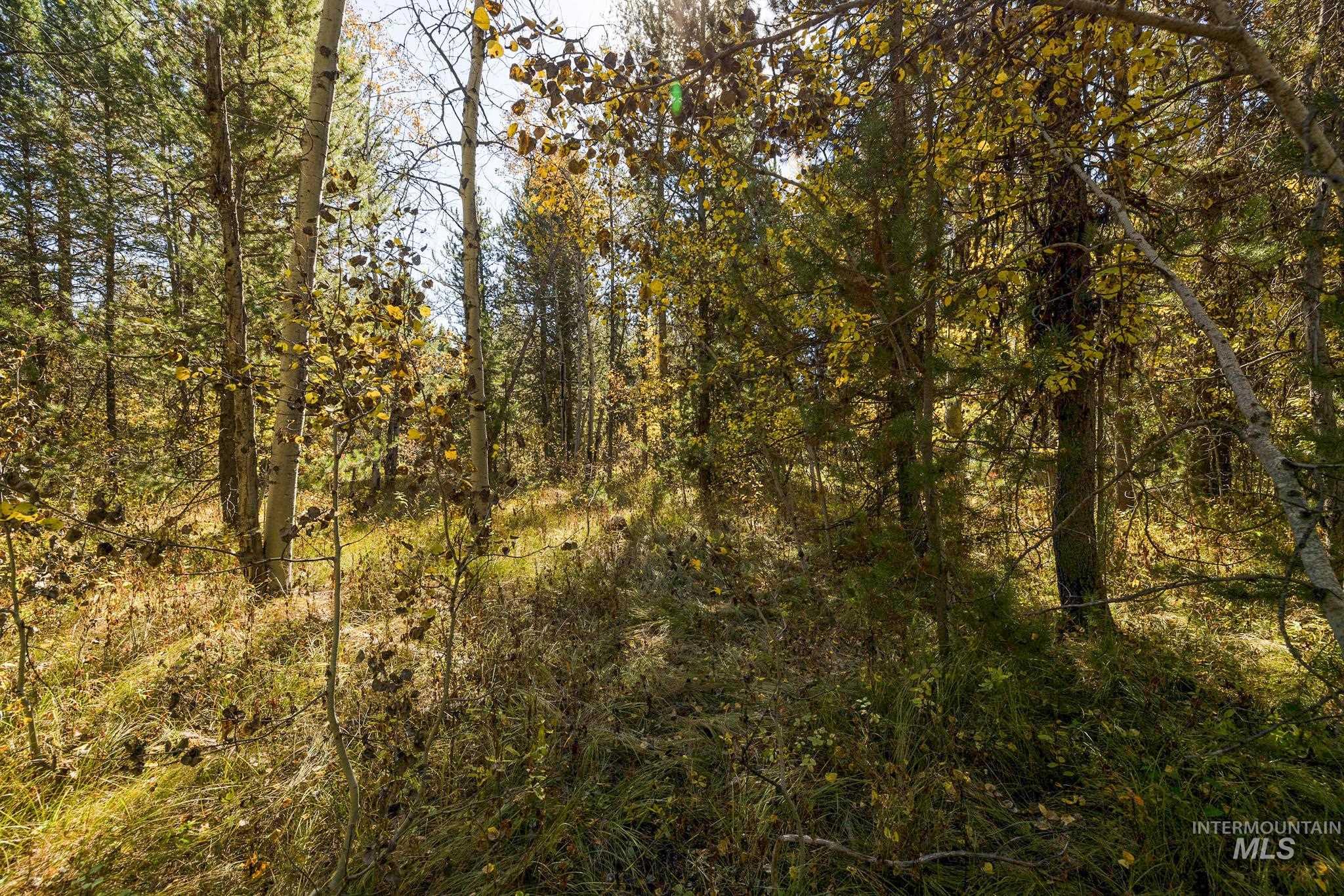 165 Coy Rd, McCall, Idaho 83638, Land For Sale, Price $209,900, 98925067
