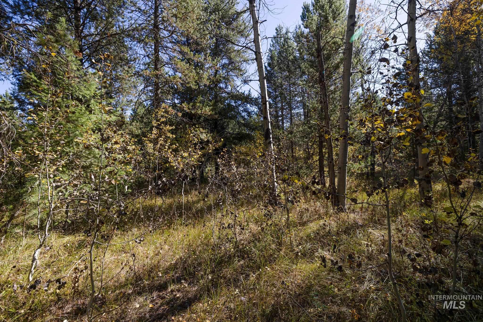 165 Coy Rd, McCall, Idaho 83638, Land For Sale, Price $209,900, 98925067
