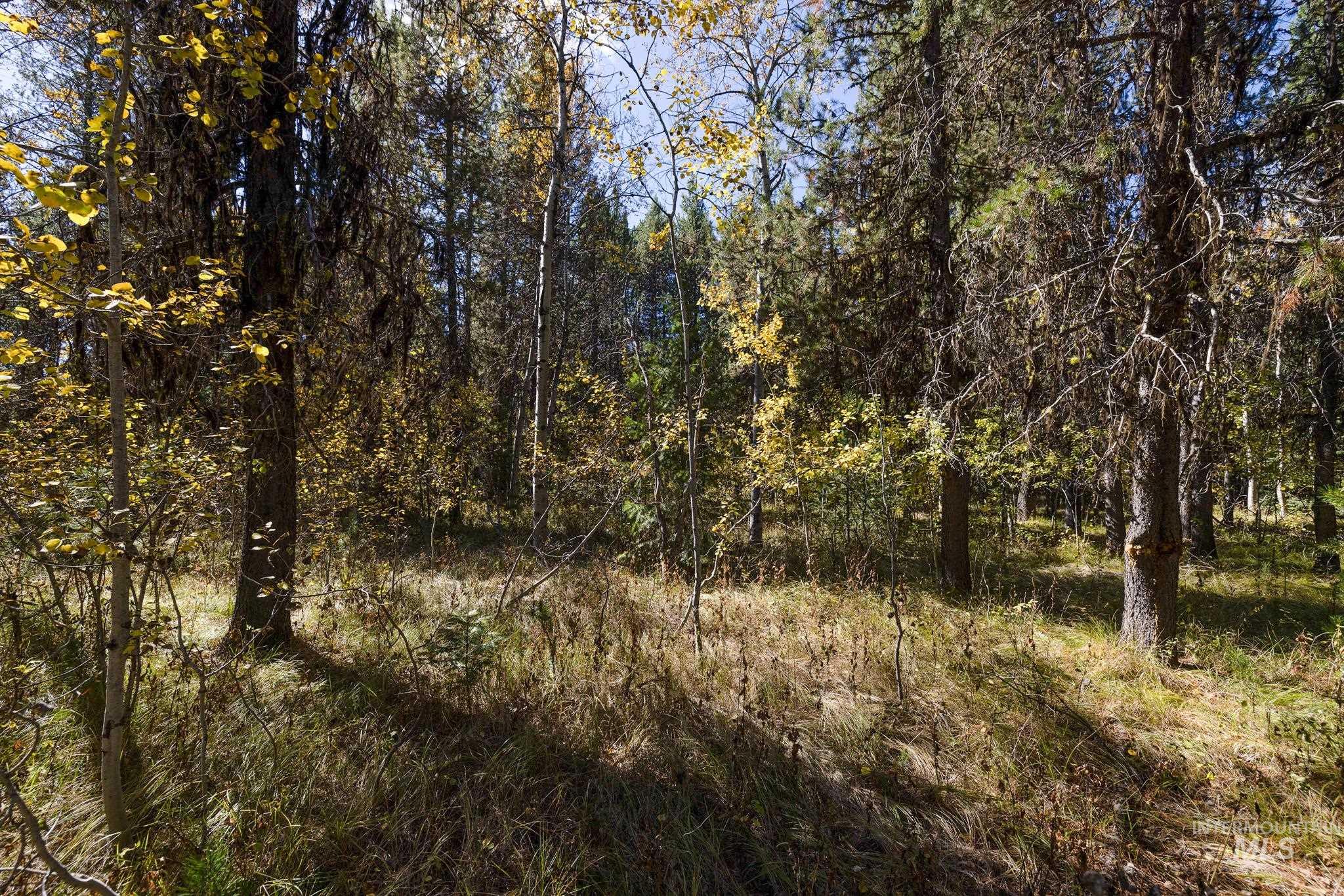 165 Coy Rd, McCall, Idaho 83638, Land For Sale, Price $209,900, 98925067