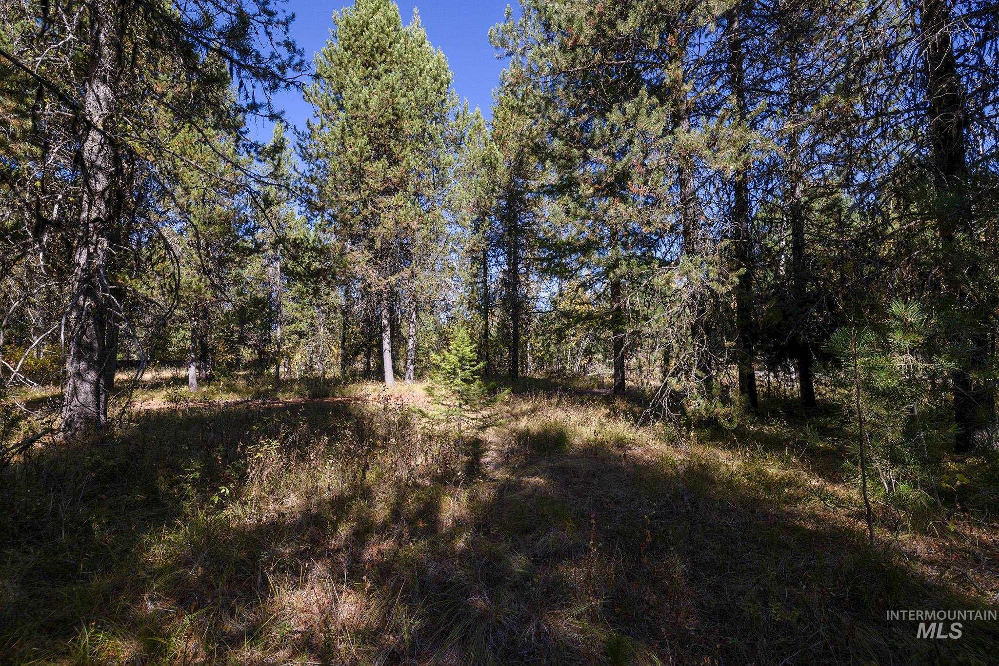 165 Coy Rd, McCall, Idaho 83638, Land For Sale, Price $209,900, 98925067