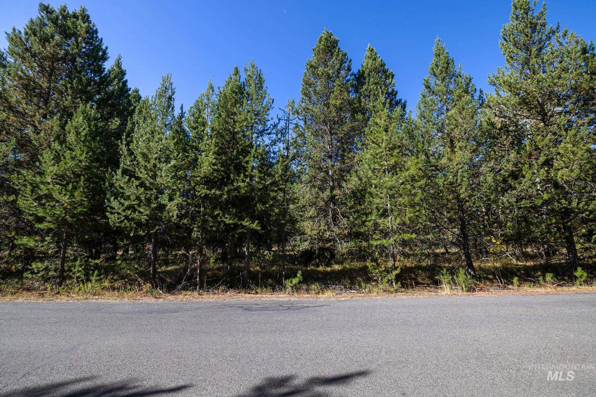 165 Coy Rd, McCall, Idaho 83638, Land For Sale, Price $209,900, 98925067