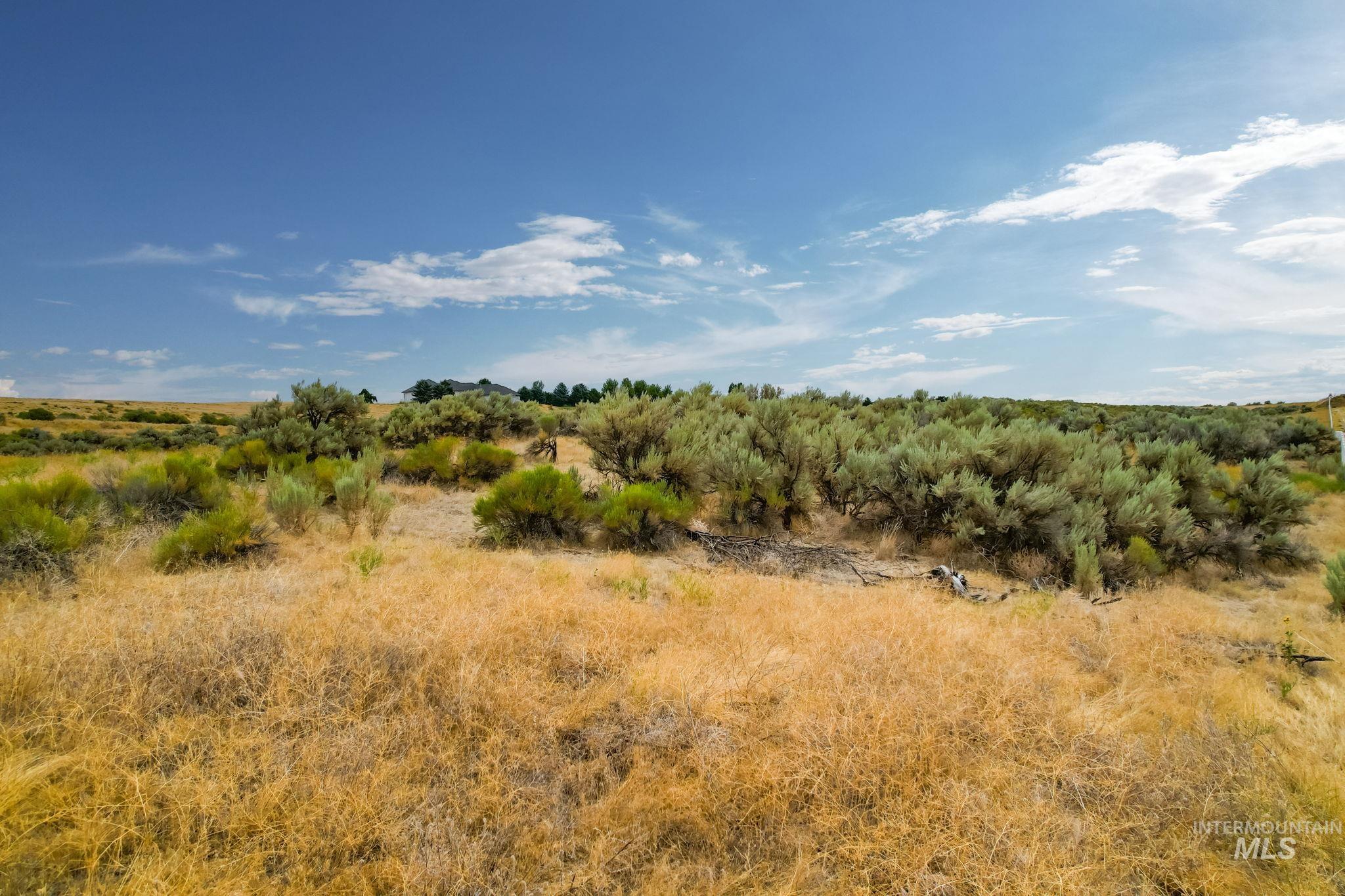 TBD Ptarmigan Place, Star, Idaho 83669, Land For Sale, Price $889,900, 98925124