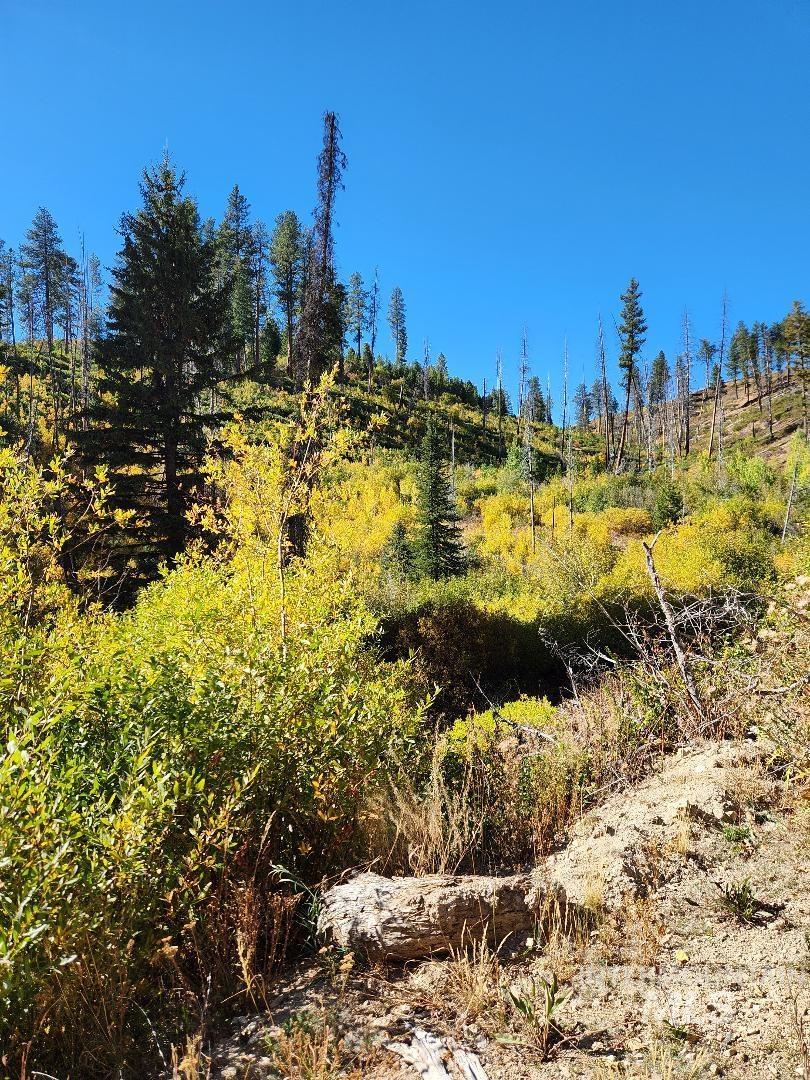 TBD Marsh Creek, Featherville, Idaho 83647, Land For Sale, Price $250,000, 98925133
