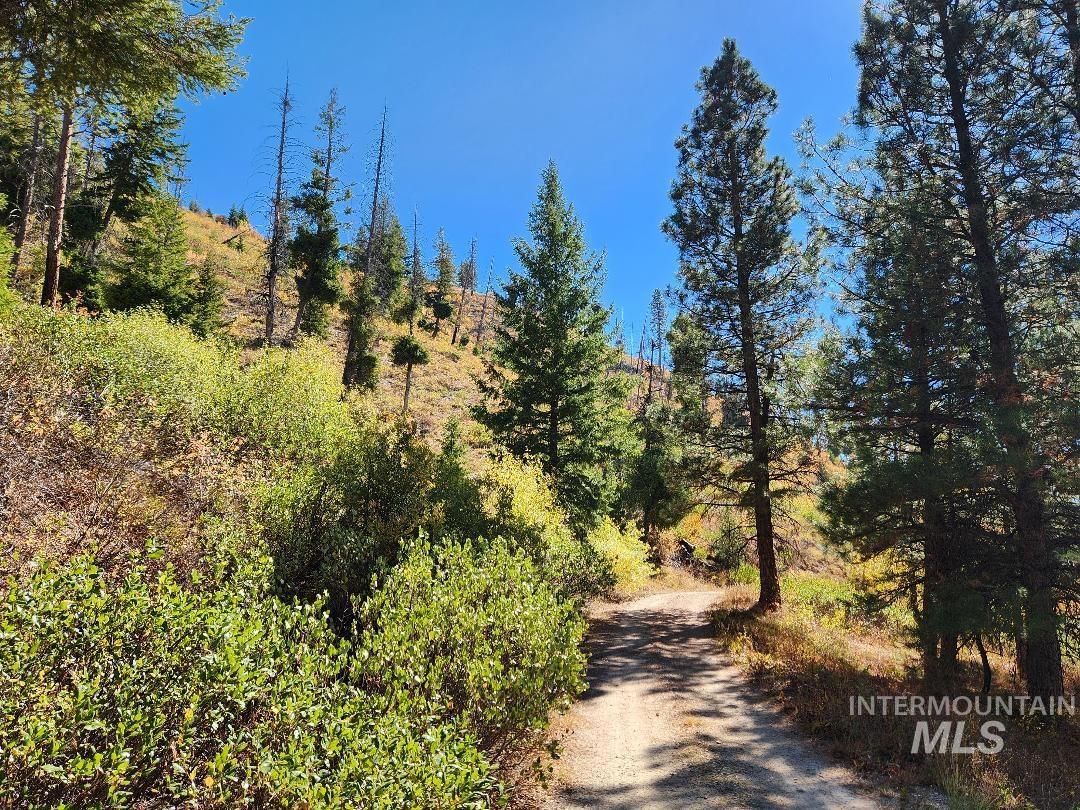 TBD Marsh Creek, Featherville, Idaho 83647, Land For Sale, Price $250,000, 98925133