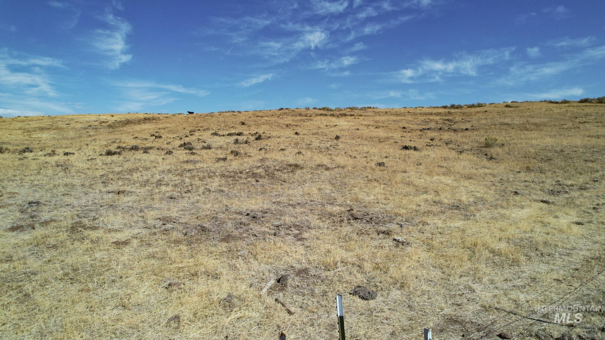 TBD S Crane Road, Weiser, Idaho 83672, Land For Sale, Price $768,000, 98925170