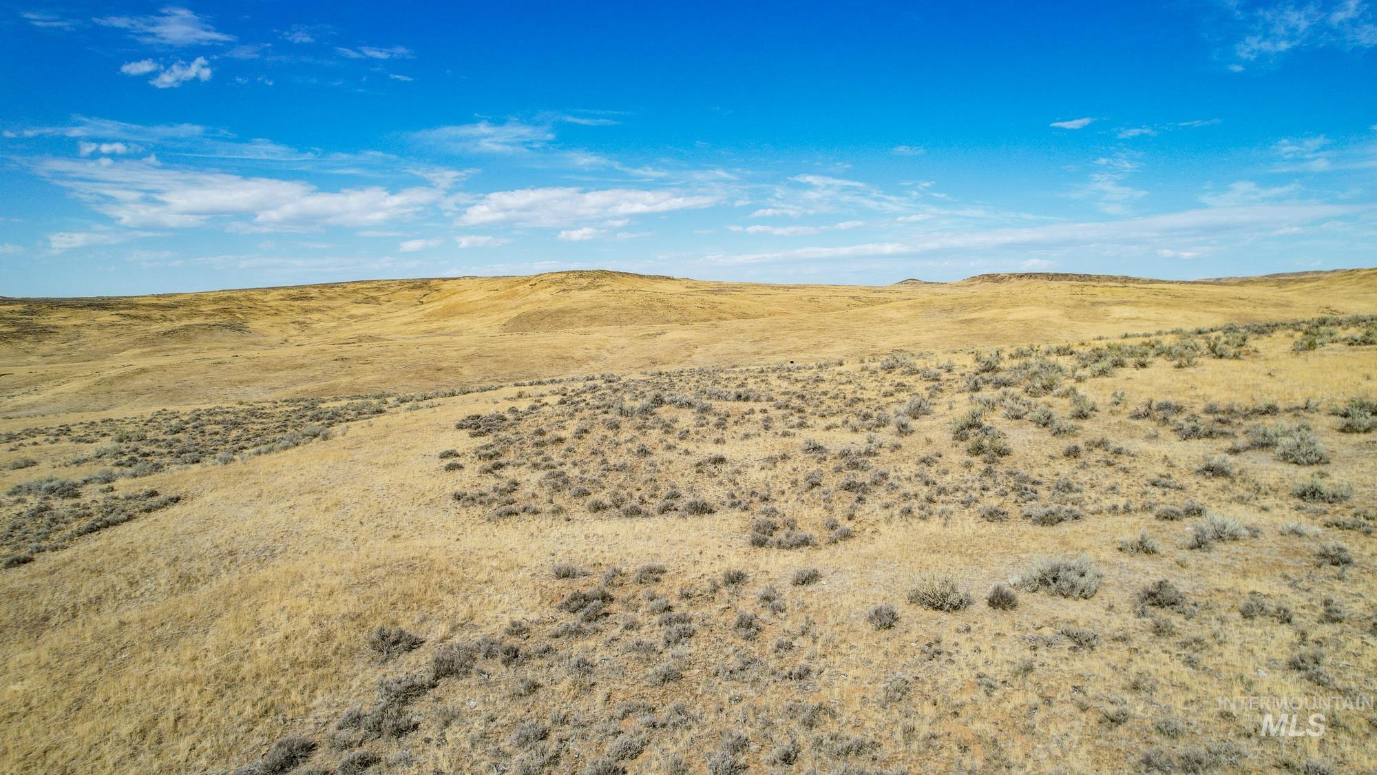 TBD S Crane Road, Weiser, Idaho 83672, Land For Sale, Price $768,000, 98925170