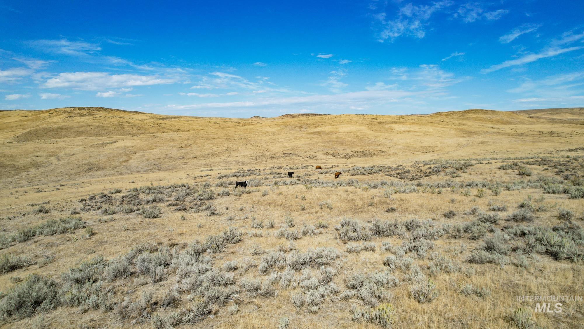 TBD S Crane Road, Weiser, Idaho 83672, Land For Sale, Price $768,000, 98925170