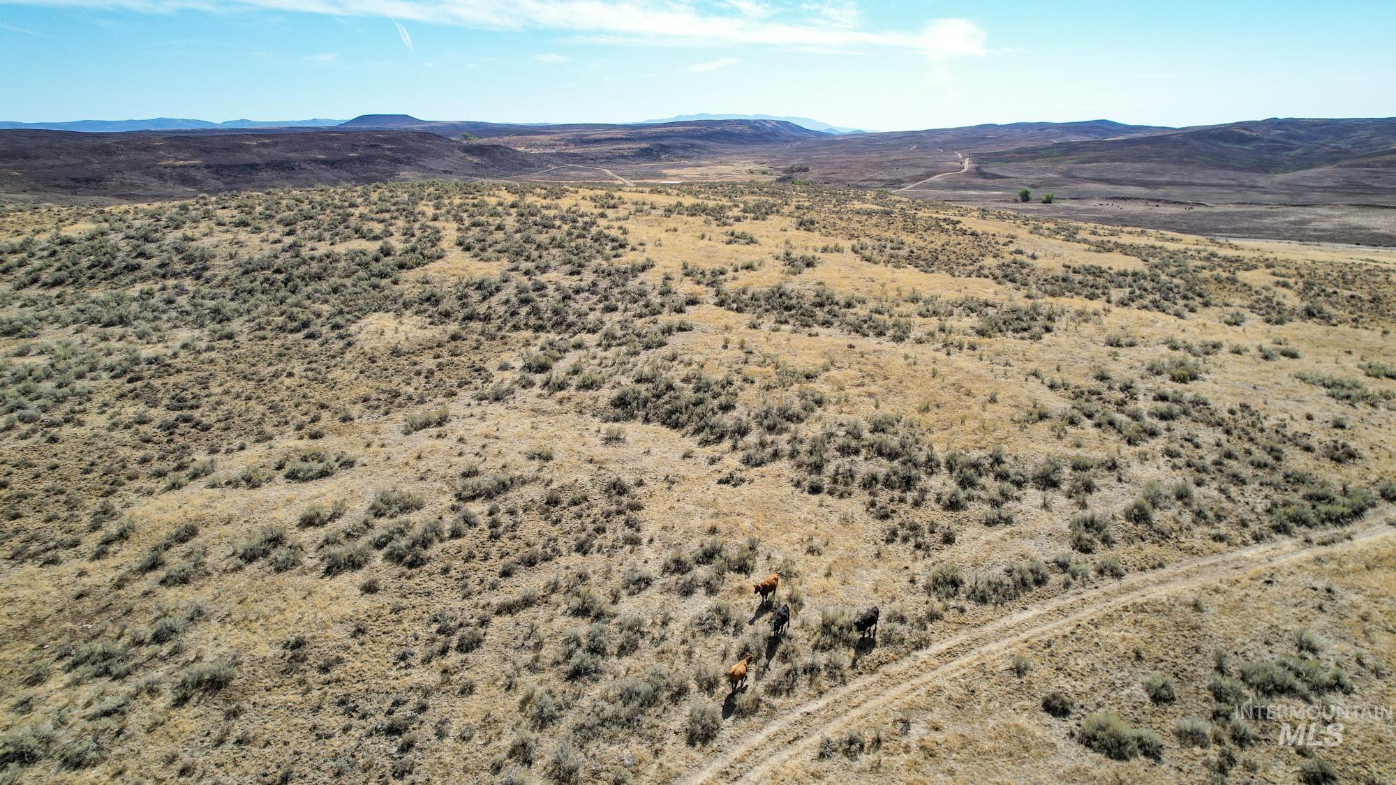 TBD S Crane Road, Weiser, Idaho 83672, Land For Sale, Price $768,000, 98925170