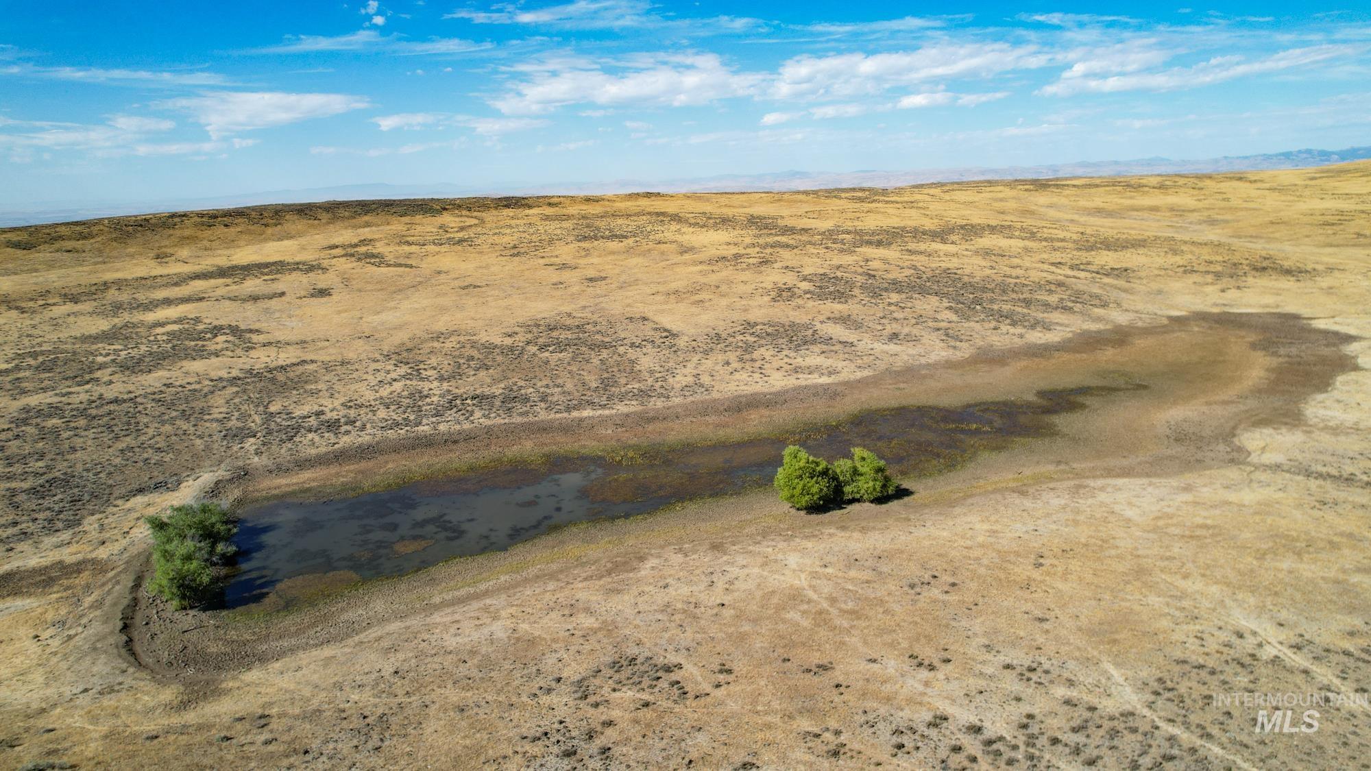 TBD S Crane Road, Weiser, Idaho 83672, Land For Sale, Price $768,000,MLS 98925170