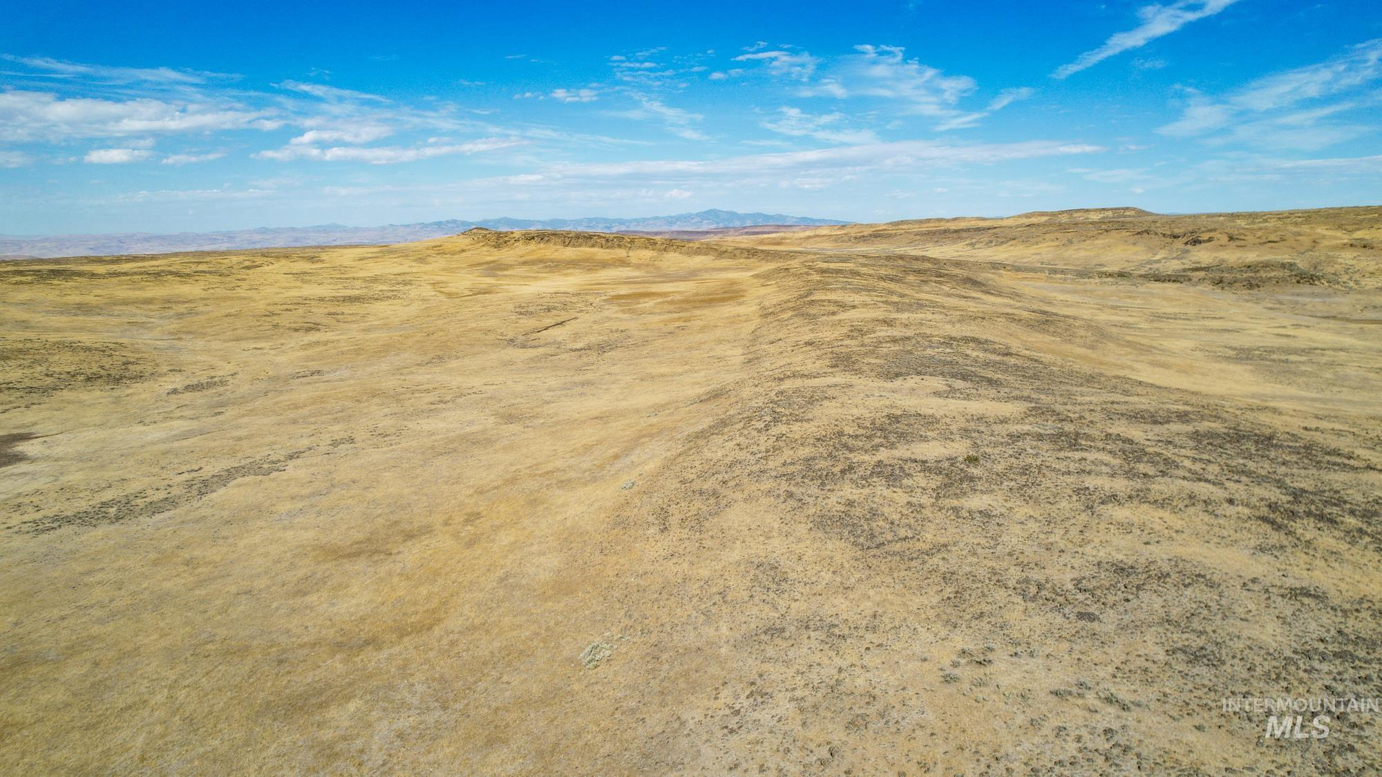 TBD S Crane Road, Weiser, Idaho 83672, Land For Sale, Price $768,000, 98925170