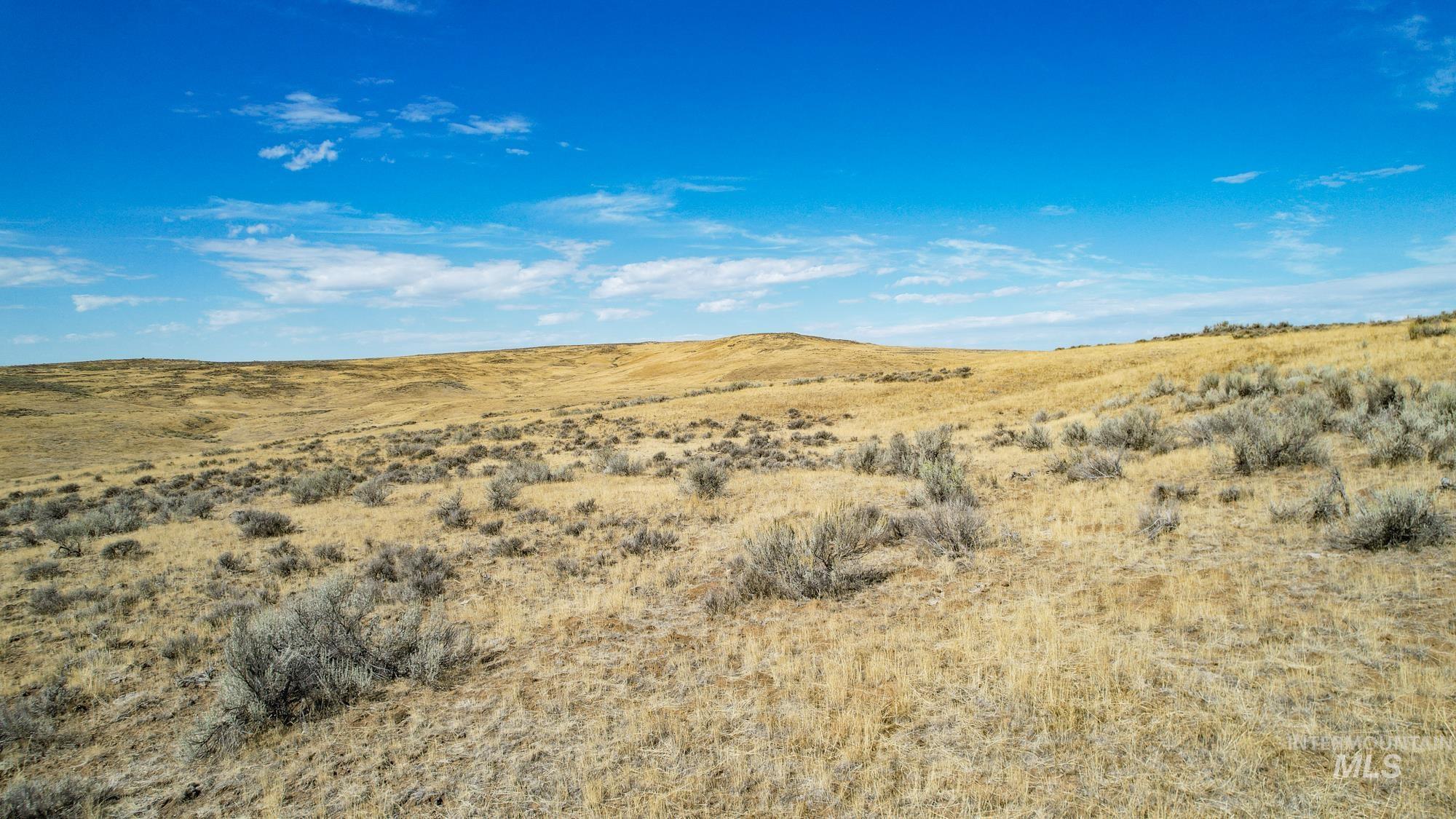 TBD S Crane Road, Weiser, Idaho 83672, Land For Sale, Price $768,000, 98925170